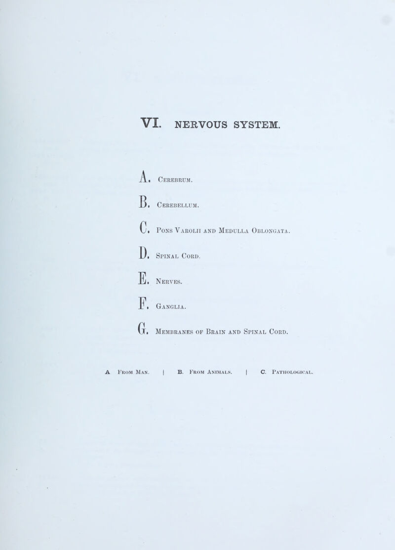 _A_. Cerebrum. 13• Cerebellum. Ci Pons Varolii and Medulla Oblongata. D. Spinal Cord. Ei Nerves. F. Ganglia. Gi Membranes op Brain and Spinal Cord. A From Man. B. From Animals. C. Pathological.
