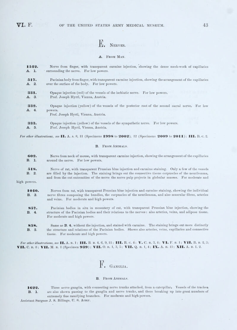 Nerves. A. From Man. I •> 1*2. Nerve from finger, with transparent carmine injection, showing the dense mesh-work of capillaries A. 1. surrounding the nerve. For low powers. 517. Pacinian body from finger, with transparent carmine injection, showing the arrangement of the capillaries A. 2. over the surface of the body. For low powers. 331. Opaque injection (red) of the vessels of the ischiatic nerve. For low powers. A. 3. Prof. Joseph Hyrtl, Vienna, Austria. 332. Opaque injection (yellow) of the vessels of the posterior root of the second sacral nerve. For low A. 4. powers. Prof. Joseph Hyrtl, Vienna, Austria. 333. Opaque injection (yellow) of the vessels of the sympathetic nerve. For low powers. A. 5. Prof. Joseph Hyrtl, Vienna, Austria. For other illustrations, see II. A. a. 8, 11 (Specimens 1998 to 2002), 12 (Specimens 2O09 to 2011); III. B. C. 2. B. From Animals. 602. Nerve from neck of mouse, with transparent carmine injection, showing the arrangement of the capillaries B. 1. around the nerve. For low powers. 518. Nerve of rat, with transparent Prussian blue injection and carmine staining. Only a few of the vessels B. 2. are filled by the injection. The staining brings out the connective tissue corpuscles of the neurilemma, and from the cut extremities of the nerve the nerve pulp projects in globular masses. For moderate and high powers. I O BO. Nerves from rat, with transparent Prussian blue injection and carmine staining, showing the individual B. 3. nerve fibres composing the bundles, the corpuscles of the neurilemma, and also muscular fibres, arteries and veins. For moderate and high powers. 857. Pacinian bodies in situ in mesentery of cat, with transparent Prussian blue injection, showing the B. 4. structure of the Pacinian bodies and their relations to the nerves ; also arteries, veins, and adipose tissue. For moderate and high powers. 858. Same as B. 4, without the injection, and stained with carmine. The staining brings out more distinctly B. 5. the structure and relations of the Pacinian bodies. Shows also arteries, veins, capillaries and connective tissue. For moderate and high powers. For other illustrations, sec II. A. B. 1 ; III. B. B. 4, G, 9, 11 ; III. B. C. 4 ; V. C. B. 3, 4 ; VI. F. B. 1 ; VII. B. B. 2, 3; VII. C. B. 8; VII. M. B. 1 (Specimen 939) ; VII. O. B. 1, :S, 5; VII. Q. b. 1, 4; IX. A. B. 11 ; XII. A. B. 1. 2. Fi Ganglia. B. From Animals. 1622. Three nerve ganglia, with connecting nerve trunks attached, from a caterpillar. Vessels of the trachea B. 1. are also shown passing to the ganglia and nerve trunks, and there breaking up into great numbers of extremely fine ramifying branches. For moderate and high powers. Assistant Surgeon J. S. Billings, U. S. Army.