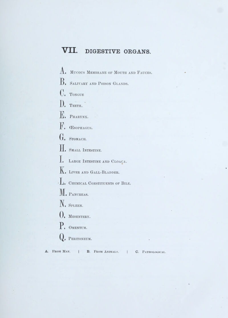 A.i Mucous Membrane op Mouth and Fauces. 13 • Salivary and Poison Glands. C i Tongue Di Teeth. Ei Pharynx. F. (Esophagus. (ji Stomach. Hi Small Intestine. Ii Large Intestine and Cloaca. Ki Liver and Gall-Bladder. Li Chemical Constituents of Bile. 1VL Pancreas. IVi Spleen. Oi Mesentery. Pi Omentum. Q,i Peritoneum. From Man. | B. From Animals. C. Pathological.
