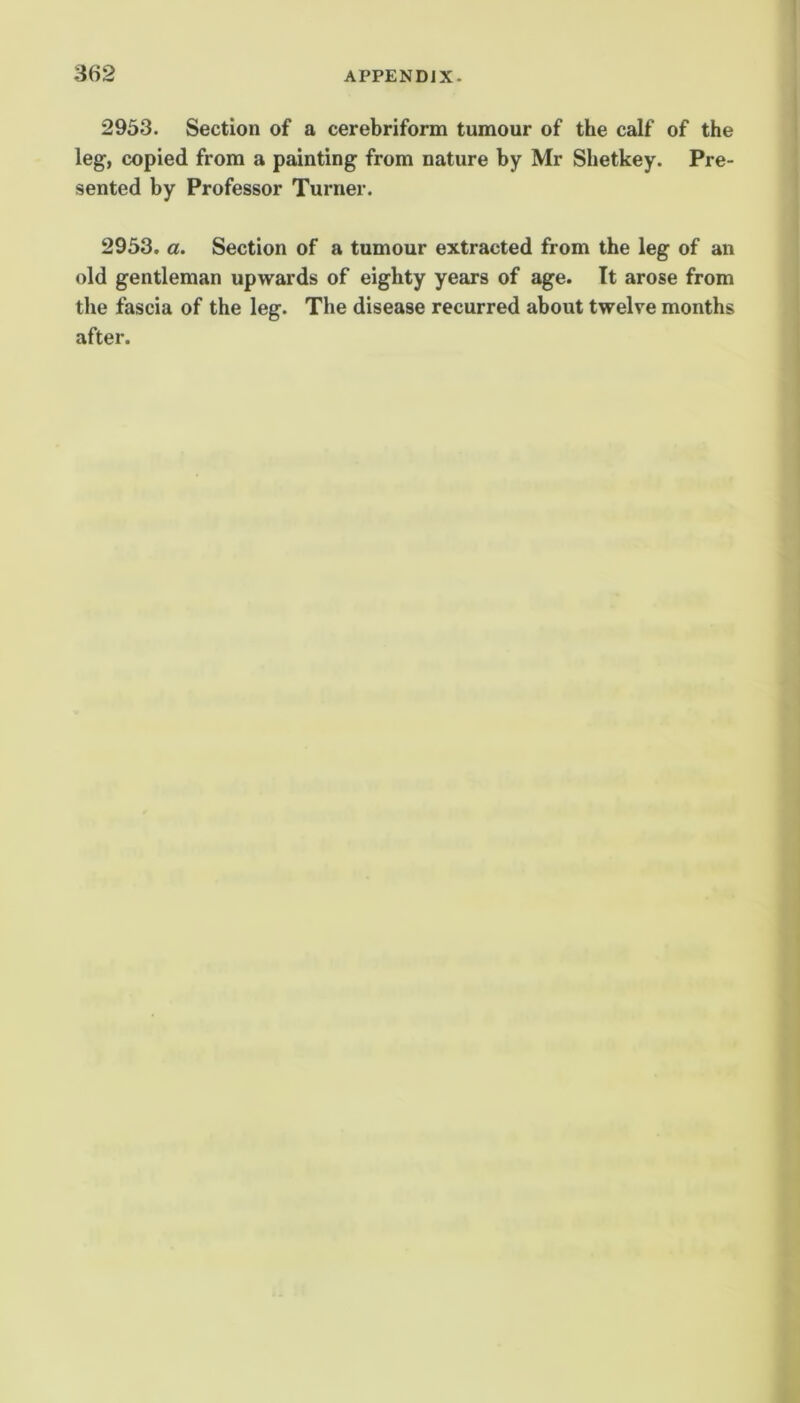 2953. Section of a cerebriform tumour of the calf of the leg, copied from a painting from nature by Mr Shetkey. Pre- sented by Professor Turner. 2953. a. Section of a tumour extracted from the leg of an old gentleman upwards of eighty years of age. It arose from the fascia of the leg. The disease recurred about twelve months after.