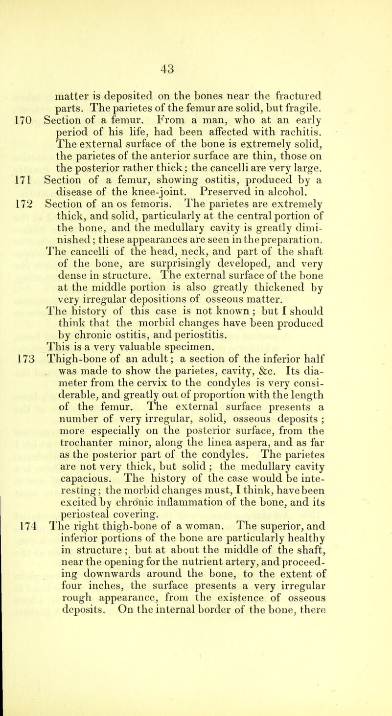 matter is deposited on the bones near the fractured parts. The parietes of the femur are solid, hut fragile. 170 Section of a femur. From a man, who at an early period of his life, had been affected with rachitis. The external surface of the bone is extremely solid, the parietes of the anterior surface are thin, those on the posterior rather thick; the cancelli are very large. 171 Section of a femur, showing ostitis, produced by a disease of the knee-joint. Preserved in alcohol. 172 Section of an os femoris. The parietes are extremely thick, and solid, particularly at the central portion of the bone, and the medullary cavity is greatly dimi- nished ; these appearances are seen in the preparation. The cancelli of the head, neck, and part of the shaft of the bone, are surprisingly developed, and very dense in structure. The external surface of the bone at the middle portion is also greatly thickened by very irregular depositions of osseous matter. The history of this case is not known; but I should think that the morbid changes have been produced by chronic ostitis, and periostitis. This is a very valuable specimen. 173 Thigh-bone of an adult; a section of the inferior half was made to show the parietes, cavity, &c. Its dia- meter from the cervix to the condyles is very consi- derable, and greatly out of proportion with the length of the femur. The external surface presents a number of very irregular, solid, osseous deposits ; more especially on the posterior surface, from the trochanter minor, along the linea aspera, and as far as the posterior part of the condyles. The parietes are not very thick, but solid ; the medullary cavity capacious. The history of the case would be inte- resting; the morbid changes must, I think, have been excited by chi-onic inflammation of the bone, and its periosteal covering. 174 The right thigh-bone of a woman. The superior, and inferior portions of the bone are particularly healthy in structure ; but at about the middle of the shaft, near the opening for the nutrient artery, and proceed- ing downwards around the bone, to the extent of four inches, the surface presents a very irregular rough appearance, from the existence of osseous deposits. On the internal border of the bone, there