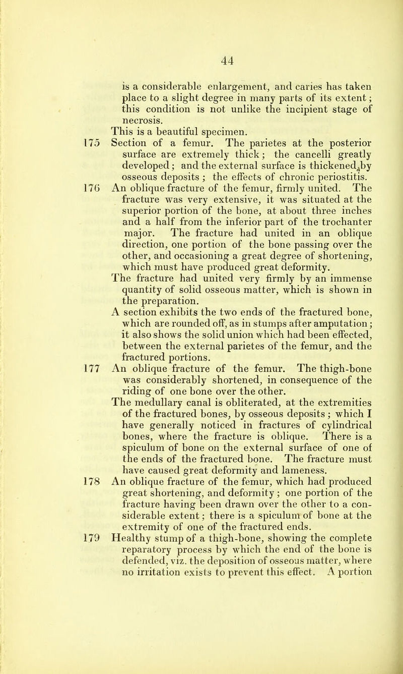 is a considerable enlargement, and caries has taken place to a slight degree in many parts of its extent; this condition is not unlike the incipient stage of necrosis. This is a beautiful specimen. 175 Section of a femur. The parietes at the posterior surface are extremely thick; the cancelli greatly developed; and the external surface is thickened^by osseous deposits ; the effects of chronic periostitis. 176 An oblique fracture of the femur, firmly united. The fracture was very extensive, it was situated at the superior portion of the bone, at about three inches and a half from the inferior part of the trochanter major. The fracture had united in an oblique direction, one portion of the bone passing over the other, and occasioning a great degree of shortening, which must have produced great deformity. The fracture had united very firmly by an immense quantity of solid osseous matter, which is shown in the preparation. A section exhibits the two ends of the fractured bone, which are rounded off, as in stumps after amputation; it also shows the solid union which had been effected, between the external parietes of the femur, and the fractured portions. 177 An oblique fracture of the femur. The thigh-bone was considerably shortened, in consequence of the riding of one bone over the other. The medullary canal is obliterated, at the extremities of the fractured bones, by osseous deposits ; which I have generally noticed in fractures of cylindrical bones, where the fracture is oblique. There is a spiculum of bone on the external surface of one of the ends of the fractured bone. The fracture must have caused great deformity and lameness. 178 An oblique fracture of the femur, which had produced great shortening, and deformity ; one portion of the fracture having been drawn over the other to a con- siderable extent; there is a spiculum of bone at the extremity of one of the fractured ends. 179 Healthy stump of a thigh-bone, showing the complete reparatory process by which the end of the bone is defended, viz. the deposition of osseous matter, where no irritation exists to prevent this effect. A portion