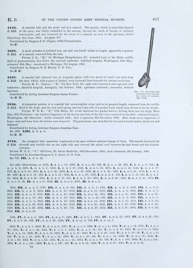 1123. A coiioidal ball, and the screw end of a ramrod. The missile, which is somewhat blunted d. 210. at the apex, was firmly embedded in the sacrum, beyond the reach of forceps or ordinary instruments, and was extracted by the screw of a ramrod, as seen in the specimen, before Petersburg, 21st June, 1864. See figure 177. Contributed by Surgeon S. F. Chapin, 139th Pennsylvania. See B'. 1028. A small cylinder of polished iron, one and one-fourth inches in length, apparently a portion d. 211. of a ramrod, removed from the foot. Private J. S.,  K, 1st Michigan Sharpshooters, 20: wounded head of the fibula, middle third of gastrocnemius, foot below the external malleolus; admitted hospital, Washington, 25th May; extracted 2Gth May; transferred to Michigan, 23d August, 1864. Contributed by Surgeon N. R. Mosely, U. S. Vols. See B' B'. 4439. A conoidal ball, battered into an irregular sphere with two pieces of small iron nails from d. 212. the shoe, which, with a piece of leather, were extracted from beneath the internal malleolus. Private M. F., (Indian,) E, 9th New York, 22: right calcis fractured and captured, date unknown; admitted hospital, Annapolis, 9th October, 1864; specimen extracted; recovered, without lameness. Contributed by Acting Assistant Surgeon James Fischer. See B' B'. ,i i..-,n 3236. A triangular portion of a conoidal ball seven-eighths of an inch in its greatest length, extracted from the middle d. 213. third of the thigh, and the iron back-spring and one brass side of a pocket knife which were driven in by the missile. Private W. H. K., E, 17th Maine, 24: a ball shattered two pocket knives, driving them into the thigh, Mine Run, 27th November; one huudred fragments of the knives and four of the ball were removed on the field ; admitted hospital, Washington, 4th December; bullet extracted 14th; died of pyaemia, 22d December, 1863. After death seven fragments of brass, steel and bone from the knives were removed. The periosteum was detached for two and a fourth inches, thickened aud inflamed. Contributed by Acting Assistant Surgeon Jonathan Cass. See 1985, XIII. A. 15. a. 6. See B'. B'. 4710. An elongated ball, somewhat roughened at the apex without material change of form. The missile fractured the d. 214. eleventh and twelfth ribs on the right side and severed the spinal cord between the last dorsal and first lumbar Private W. S. L.,  C, 32d Iowa, 32: before Nashville, 10th December, 1864 ; died exhausted, 4th January, 1865. Contributed by Assistant Surgeon S. C. Ayres, U. S. Vols. See 717, HI. A. B. b. 35. For other illustrations, see 2523, I. A. A. c. 13; 2920, I. A. A. c. 16; 546, I. A. A. c. 24; 952, I. A. 1$. a. 9; 3131, I. A. B. b. 4; 3130, I. A. b. b. 6; 3553, I. A. B. b. 10; 2121, I. A. B. b. 12; 4075, I. A. B. b. 14; 3543, I. A. B. b. 17; 1727, I. A. B. b. 18; 2271, I. A. B. b. 25; 2539, 1. A. B. b. 27; 1292, I. A. B. b. 36; 1297, I. A. B. b. 38 ; 1739, I. A. B. b. 49; 1267, I. A. B. b. 54 ; 276, I. A. B. b. 58; 3040, I. A. B. c. 19; 1293, I. A. B. d. 4; 139, I. A. it. d. 12; 216, I. A. b. d. 15; 3254, I. A. B. d. 16; 3358, I. A. B. d. 17; 685, I. A. B. d. .18; 3373, I. A. B. d. 20 ; 1108, I. A. B. d. 21; 3374, II. A. A. c. 3; 85, II. A. A. c. 6; 3350, II. A. B. a. 2; 2507, II. A. B. c. 5. 3458, III. A. a. a. 3; 3780, III. A. A. a. 4; 611, III. A. a. b. 1 ; 1331, III. A. A. b. 5; 2843, III. A. a. b. 6; 2238, III. A. A. b. 9; 3583, III. A. A. b. 10; 3810, HI. A .A. b. li; 1710, III. A. b. a. 2; 2762, III. A. B. a. 7; 1954, III. A. B. a. 9; 3515, III. A. B. a. 10; 3349, HI. A. B. a. 14; 3171, III. A. b. a. 15; 1600, HI. A. B. a. 16; 1630, HI. A. B. a. 18; 901, HI. A. B. a. 19; 3851, HI. A. B. a. 20; 806, HI. A. B. b. 4 ; 3985, HI. A. B. b. 5; 3185, HI. A. B. b. 8; 2204, HI. A. B. b. 12; 3530, HI. A. B. b. 14; 3030, HI. A. B. b. 17; 1114, HI. A. B. b. 18; 2939, HI. A. B. b. 19; 4093, HI. A. B. b. 20; 3523, HI. A. B. b. 21; 3230, HI. A. B. b. 23; 3796, HI. A. B. b. 24; 1198, HI. A. B. b. 26; 3984, HI. A. B. b. 28; 757, HI. A. B. b. 30; 2532, HI. A. B. b. 31; 4083, HI. A. b. b. 32; 2766, III. A. B. b. 33. 1141, IV. A. B. a. 1; 1561, IV. A. B. a. 7; 1210, IV. A. B. b. 1; 1211, IV. A. B. b. 15; 1073, IV. A. B. b. 25; 178, IV. A. B. b. 28; 636, IV. A. B. b. 29; 2294, IV. A. B. cy. 4; 794, IV. A. B. cy. 5. 2689, V. A. a. b. 1 ; 2986, V. A. A. b. 2; 1377, V. A. a. c. 1; 3386, V. A. A. c. 4 ; 2516, V. A. A. c. 14; 1715, V. A. A. c. 31 ; 1931, V. A. A. c. 40; 4126, V. A. A. d. 1 ; 2564, V. A. A. d. 16; 728, V. A. a. d, 18; 3681, V. A. B. b. 5 : 3790, V. A. B. b. 14; 2696, V. A. B. b. 15; 1978, V. A. B. b. 17; 3919, V. A. B. b. 23; 1011, V. A. B. b. 38; 60, V. A. B. c. 9; 342, V. A. b. c. 16; 1206, V. A. B. c. 25; 1999, V. A. B. c. 28; 440, V. A. B. c. 34; 2599, V. A. B. c. 35; 3033, V. A. B. c. 62; 2363, V. A. B. c. 63; 3161, V. A. B. c. 65; 2712, V. A. B. c. 66; 620, V. A. B. c. 102; 2944, V. A. B. c. 105; 2625, V. A. B. c. 110 ; 3289, V. A. B. c. 127; 347, V. A. B. d. 12 ; 1226, V. A. B. d. 27 ; 2511, V. A. B. d. 32. 78