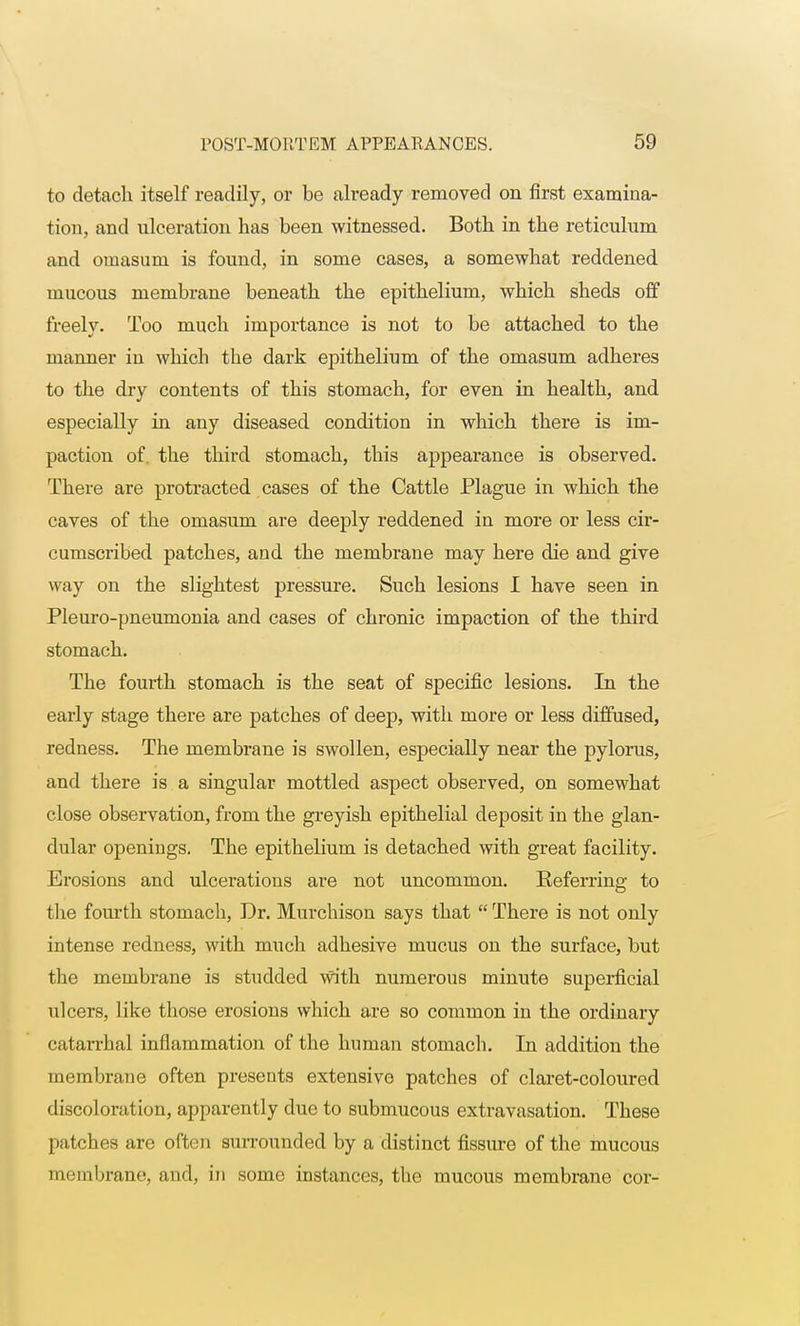 to detach itself readily, or be already removed on first examina- tion, and ulceration has been witnessed. Both in the reticulum and omasum is found, in some cases, a somewhat reddened mucous membrane beneath the epithelium, which sheds off freely. Too much importance is not to be attached to the manner in which the dark epithelium of the omasum adheres to the dry contents of this stomach, for even in health, and especially in any diseased condition in which there is im- paction of. the third stomach, this appearance is observed. There are protracted cases of the Cattle Plague in which the caves of the omasum are deeply reddened in more or less cir- cumscribed patches, and the membrane may here die and give way on the slightest pressure. Such lesions I have seen in Pleuro-pneumonia and cases of chronic impaction of the third stomach. The fourth stomach is the seat of specific lesions. In the early stage there are patches of deep, with more or less diffused, redness. The membrane is swollen, especially near the pylorus, and there is a singular mottled aspect observed, on somewhat close observation, from the greyish epithelial deposit in the glan- dular openings. The epithelium is detached with great facility. Erosions and ulcerations are not uncommon. Referring to the fourth stomach, Dr. Murchison says that  There is not only intense redness, with much adhesive mucus on the surface, but the membrane is studded with numerous minute superficial ulcers, like those erosions which are so common in the ordinary catarrhal inflammation of the human stomach. In addition the membrane often presents extensive patches of claret-coloured discoloration, apparently due to submucous extravasation. These patches are often surrounded by a distinct fissure of the mucous membrane, and, in some instances, the mucous membrane cor-
