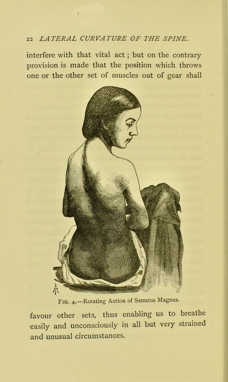 interfere with that vital act ; but on the contrary- provision is made that the position which throws one or the other set of muscles out of gear shall Fig. 4.—Rotating Action of Serratus Magnus. favour other sets, thus enabling us to breathe easily and unconsciously in all but very strained and unusual circumstances.