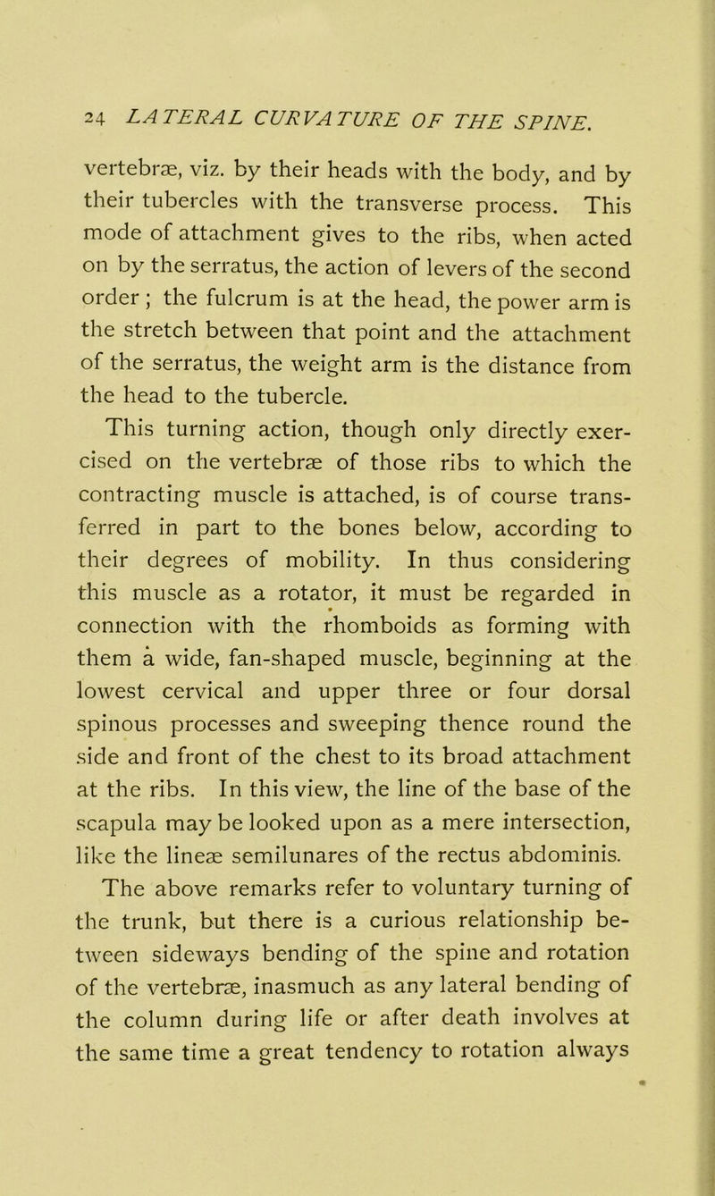 vertebrae, viz. by their heads with the body, and by their tubercles with the transverse process. This mode of attachment gives to the ribs, when acted on by the serratus, the action of levers of the second order ; the fulcrum is at the head, the power arm is the stretch between that point and the attachment of the serratus, the weight arm is the distance from the head to the tubercle. This turning action, though only directly exer- cised on the vertebrae of those ribs to which the contracting muscle is attached, is of course trans- ferred in part to the bones below, according to their degrees of mobility. In thus considering this muscle as a rotator, it must be regarded in connection with the rhomboids as forming with them a wide, fan-shaped muscle, beginning at the lowest cervical and upper three or four dorsal spinous processes and sweeping thence round the side and front of the chest to its broad attachment at the ribs. In this view, the line of the base of the scapula may be looked upon as a mere intersection, like the lineae semilunares of the rectus abdominis. The above remarks refer to voluntary turning of the trunk, but there is a curious relationship be- tween sideways bending of the spine and rotation of the vertebrae, inasmuch as any lateral bending of the column during life or after death involves at the same time a great tendency to rotation always