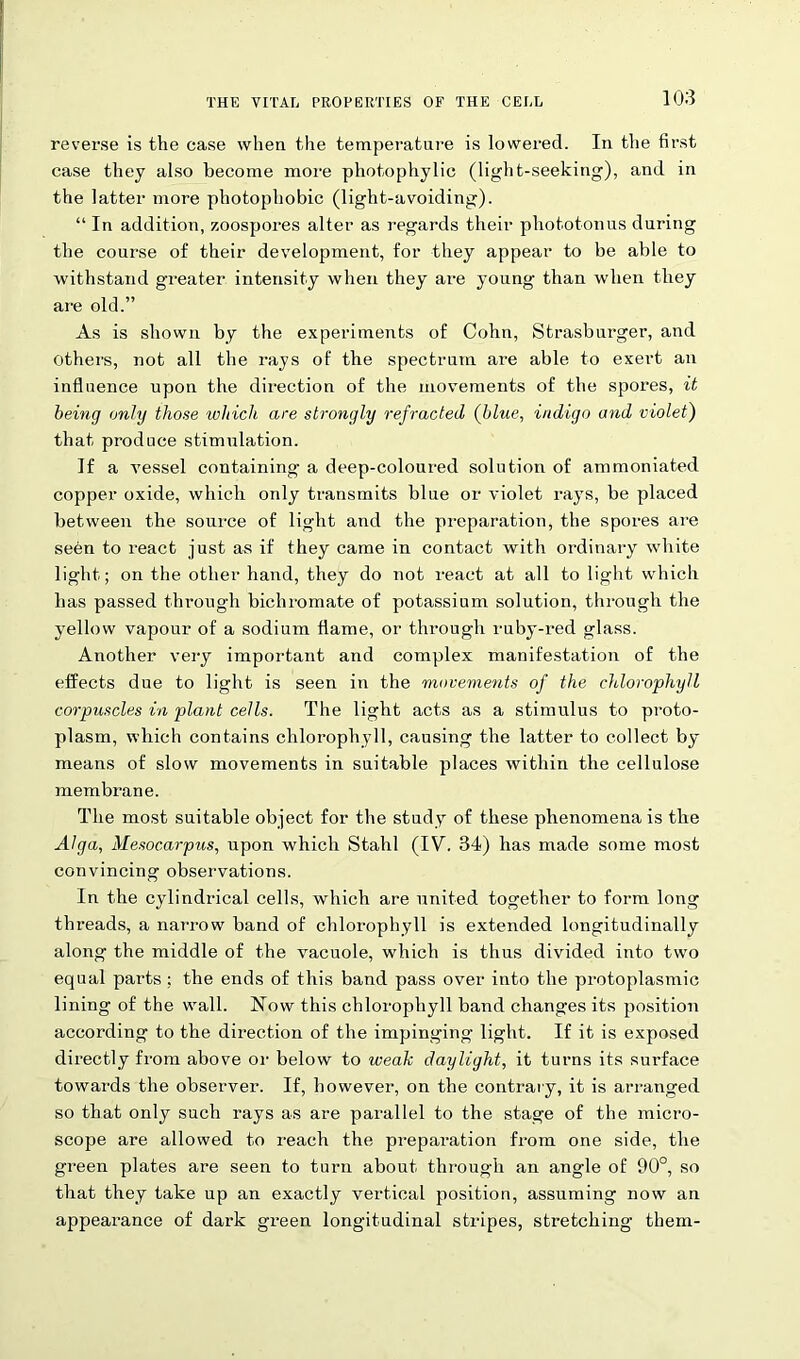 reverse is the case when the temperature is lowered. In the first case they also become more photophylic (light-seeking), and in the latter more photophobic (light-avoiding). “ In addition, zoospores alter as regards their phototonus during the course of their development, for they appear to be able to withstand greater intensity when they are young than when they are old.” As is shown by the experiments of Cohn, Strasburger, and others, not all the rays of the spectrum are able to exert an influence upon the direction of the movements of the spores, it being only those which are strongly refracted (blue, indigo and violet) that produce stimulation. If a vessel containing a deep-coloured solution of ammoniated copper oxide, which only transmits blue or violet rays, be placed between the source of light and the preparation, the spores are seen to react just as if they came in contact with ordinary white light; on the other hand, they do not react at all to light which has passed through bichromate of potassium solution, through the yellow vapour of a sodium flame, or through ruby-red glass. Another very important and complex manifestation of the effects due to light is seen in the movements of the chlorophyll corpuscles in plant cells. The light acts as a stimulus to proto- plasm, which contains chlorophyll, causing the latter to collect by means of slow movements in suitable places within the cellulose membrane. The most suitable object for the study of these phenomena is the Alga, Mesocarpus, upon which Stahl (IV. 34) has made some most convincing observations. In the cylindrical cells, which are united together to form long threads, a narrow band of chlorophyll is extended longitudinally along the middle of the vacuole, which is thus divided into two equal parts ; the ends of this band pass over into the protoplasmic lining of the wall. Now this chlorophyll band changes its position according to the direction of the impinging light. If it is exposed directly from above or below to weak daylight, it turns its surface towards the observer. If, however, on the contrary, it is arranged so that only such rays as are parallel to the stage of the micro- scope are allowed to reach the preparation from one side, the green plates are seen to turn about through an angle of 90°, so that they take up an exactly vertical position, assuming now an appearance of dark green longitudinal stripes, stretching them-