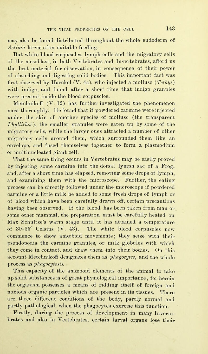 may also be found distributed throughout the whole endoderm of Actinia larvae after suitable feeding. But white blood corpuscles, lymph cells and the migratory cells of the mesoblast, in both Vertebrates and Invertebrates, afford us the best material for observation, in consequence of their power of absorbing and digesting solid bodies. This important fact was first observed by Haeckel (V. 4a), who injected a mollusc (Tetliys) with indigo, and found after a short time that indigo granules were present inside the blood corpuscles. Metchnikoff (V. 12) has further investigated the phenomenon most thoroughly. He found that if powdered carmine were injected under the skin of another species of mollusc (the transparent Phyllirhoe), the smaller granules were eaten up by some of the migratory cells, while the larger ones attracted a number of other migratory cells around them, which surrounded them like an envelope, and fused themselves together to form a plasmodium or multinucleated giant cell. That the same thing occurs in Vertebrates may be easily proved by injecting some carmine into the dorsal lymph sac of a Frog, and, after a short time has elapsed, removing some drops of lymph, and examining them with the microscope. Further, the eating process can be directly followed under the microscope if powdered carmine or a little milk be added to some fresh drops of lymph or of blood which have been carefully drawn off, certain precautions having been observed. If the blood has been taken from man or some other mammal, the preparation must be carefully heated on Max Schultze’s warm stage until it has attained a temperature of 30-35° Celsius (V. 43). The white blood corpuscles now commence to show amoeboid movements; they seize with their pseudopodia the carmine granules, or milk globules with which they come in contact, and draw them into their bodies. On this account Metchnikoff designates them as phagocytes, and the whole process as phagocytosis. This capacity of the amoeboid elements of the animal to take up solid substances is of great physiological importance ; for herein the organism possesses a means of ridding itself of foreign and noxious organic particles which are present in its tissues. There are three different conditions of the body, partly normal and partly pathological, when the phagocytes exercise this function. Firstly, during the process of development in many Inverte- brates and also in Vertebrates, certain larval organs lose their