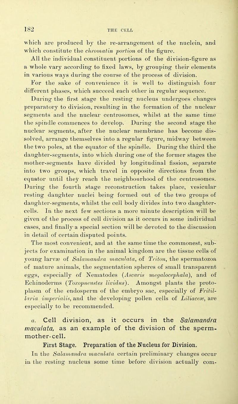 which are produced by the re-arrangement of the nuclein, and which constitute the chromatin portion of the figure. All the individual constituent portions of the division-figure as a whole vary according to fixed laws, by grouping their elements in various ways during1 the course of the process of division. For the sake of convenience it is well to distinguish four different phases, which succeed each other in regular sequence. During the first stage the resting nucleus undergoes changes preparatory to division, resulting in the formation of the nuclear segments and the nuclear centrosomes, whilst at the same time the spindle commences to develop. During the second stage the nuclear segments, after the nuclear membrane has become dis- solved, arrange themselves into a regular figure, midway between the two poles, at the equator of the spindle. During the third the daughter-segments, into which during one of the former stages the mother-segments have divided by longitudinal fission, separate into two gi’oups, which travel in opposite directions from the equator until they reach the neighbourhood of the centrosomes. During the fourth stage reconstruction takes place, vesicular resting daughter nuclei being formed out of the two groups of daughter-segments, whilst the cell body divides into two daughter- cells. In the next few sections a more minute description will be given of the pi'ocess of cell division as it occurs in some individual cases, and finally a special section will be devoted to the discussion in detail of certain disputed points. The most convenient, and at the same time the commonest, sub- jects for examination in the animal kingdom are the tissue cells of young larvae of Salamandra maculata, of Triton, the spermatozoa of mature animals, the segmentation spheres of small transparent eggs, especially of Nematodes (Ascaris mec/alocephala), and of Echinoderms (Toxopneustes lividus). Amongst plants the proto- plasm of the endosperm of the embryo sac, especially of Fritil- laria imperiaiis, and the developing pollen cells of Liliacese, are especially to be recommended. a. Cell division, as it occurs in the Salamandra maculata, as an example of the division of the sperm- mother-cell. First Stage. Preparation of the Nucleus for Division. In the Salamandra maculata certain preliminary changes occur in the resting nucleus some time before division actually com-