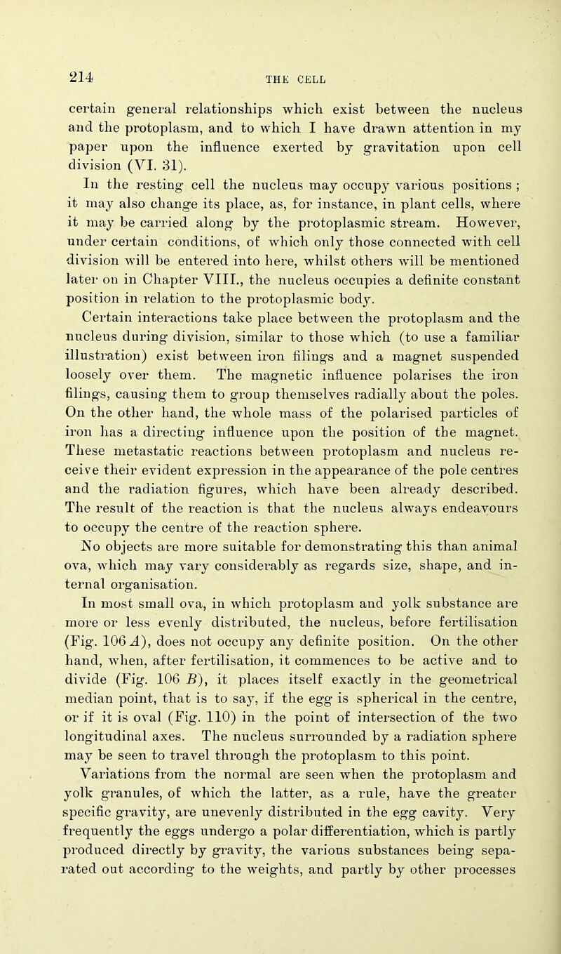 certain general relationships which exist between the nucleus and the protoplasm, and to which I have drawn attention in my paper upon the influence exerted by gravitation upon cell division (VI. 31). In the resting cell the nucleus may occupy various positions ; it may also change its place, as, for instance, in plant cells, where it may be carried along by the protoplasmic stream. However, under certain conditions, of which only those connected with cell division will be entered into here, whilst others will be mentioned later on in Chapter VIII., the nucleus occupies a definite constant position in relation to the protoplasmic body. Certain interactions take place between the protoplasm and the nucleus during division, similar to those which (to use a familiar illustration) exist between iron filings and a magnet suspended loosely over them. The magnetic influence polarises the iron filings, causing them to group themselves radially about the poles. On the other hand, the whole mass of the polarised particles of iron has a directing- influence upon the position of the magnet. These metastatic reactions between protoplasm and nucleus re- ceive their evident expression in the appearance of the pole centres and the radiation figures, which have been already described. The result of the reaction is that the nucleus always endeavours to occupy the centre of the reaction sphere. Ho objects are more suitable for demonstrating this than animal ova, which may vary considerably as regards size, shape, and in- ternal organisation. In most small ova, in which protoplasm and yolk substance are more or less evenly distributed, the nucleus, before fertilisation (Fig. 106 A), does not occupy any definite position. On the other hand, when, after fertilisation, it commences to be active and to divide (Fig. 106 B), it places itself exactly in the geometrical median point, that is to say, if the egg is spherical in the centre, or if it is oval (Fig. 110) in the point of intersection of the two longitudinal axes. The nucleus surrounded by a radiation sphere may be seen to travel through the protoplasm to this point. Variations from the normal are seen when the protoplasm and yolk granules, of which the latter, as a rule, have the greater specific gravity, are unevenly distributed in the egg cavity. Very frequently the eggs undergo a polar differentiation, which is partly produced directly by gravity, the various substances being sepa- rated out according to the weights, and partly by other processes