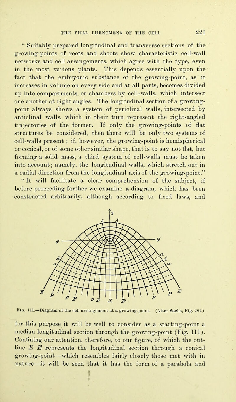 “ Suitably prepared longitudinal and transverse sections of the growing-points of roots and shoots show characteristic cell-wall networks and cell arrangements, which agree with the type, even in the most various plants. This depends essentially upon the fact that the embryonic substance of the growing-point, as it increases in volume on every side and at all parts, becomes divided up into compartments or chambers by cell-walls, which intersect one another at right angles. The longitudinal section of a growing- point always shows a system of periclinal walls, intersected by anticlinal walls, which in their turn represent the right-angled trajectories of the former. If only the growing-points of flat structures be considered, then there will be only two systems of cell-walls present ; if, however, the growing-point is hemispherical or conical, or of some other similar shape, that is to say not flat, but forming a solid mass, a third system of cell-walls must be taken into account; namely, the longitudinal walls, which stretch out in a radial direction from the longitudinal axis of the growing-point.” “ It will facilitate a clear comprehension of the subject, if before proceeding farther we examine a diagram, which has been constructed arbitrarily, although according to fixed laws, and Fig. 111.—Diagram of the cell arrangement at a growing-point. (After Sachs, Fig. 281.) for this purpose it will be well to consider as a starting-point a median longitudinal section through the growing-point (Fig. 111). Confining our attention, therefore, to our figure, of which the out- line E E represents the longitudinal section through a conical growing-point—which resembles fairly closely those met with in nature—it will be seen that it has the form of a parabola and