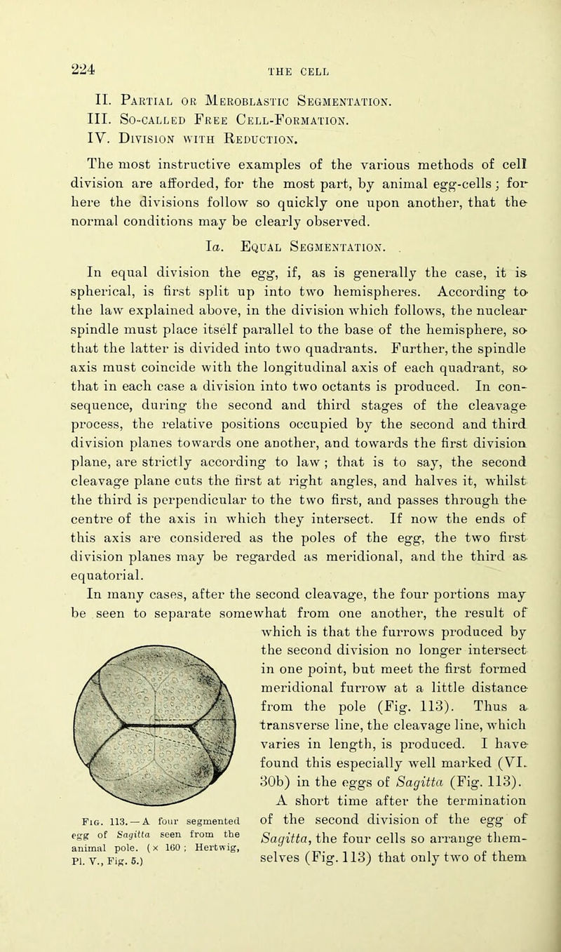 II. Partial or Meroblastic Segmentation. III. So-called Free Cell-Formation. IV. Division with Reduction. The most instructive examples of the various methods of cell division are afforded, for the most part, by animal egg-cells; for here the divisions follow so quickly one upon another, that the- normal conditions may be clearly observed. Ia. Equal Segmentation. In equal division the egg, if, as is generally the case, it is spherical, is first split up into two hemispheres. According to- the law explained above, in the division which follows, the nuclear spindle must place itself parallel to the base of the hemisphere, so- that the latter is divided into two quadrants. Further, the spindle axis must coincide with the longitudinal axis of each quadrant, so- that in each case a division into two octants is produced. In con- sequence, during the second and third stages of the cleavage process, the relative positions occupied by the second and third division planes towards one another, and towards the first division plane, are strictly according to law; that is to say, the second cleavage plane cuts the first at right angles, and halves it, whilst the third is perpendicular to the two first, and passes through the centre of the axis in which they intersect. If now the ends of this axis are considered as the poles of the egg, the two first division planes may be regarded as meridional, and the third as. equatorial. In many cases, after the second cleavage, the four portions may be seen to separate somewhat from one another, the result of which is that the furrows produced by the second division no longer intersect in one point, but meet the first formed meridional furrow at a little distance from the pole (Fig. 113). Thus a transverse line, the cleavage line, which varies in length, is produced. I have found this especially well marked (VI.. 30b) in the eggs of Sagitta (Fig. 113). A short time after the termination of the second division of the egg of Sagitta, the four cells so arrange them- selves (Fig. 113) that only two of them Fie. 113. —A four segmented egg of Sagitta seen from the animal pole, (x ICO; Hertwig, PI. V., Fig. 5.)