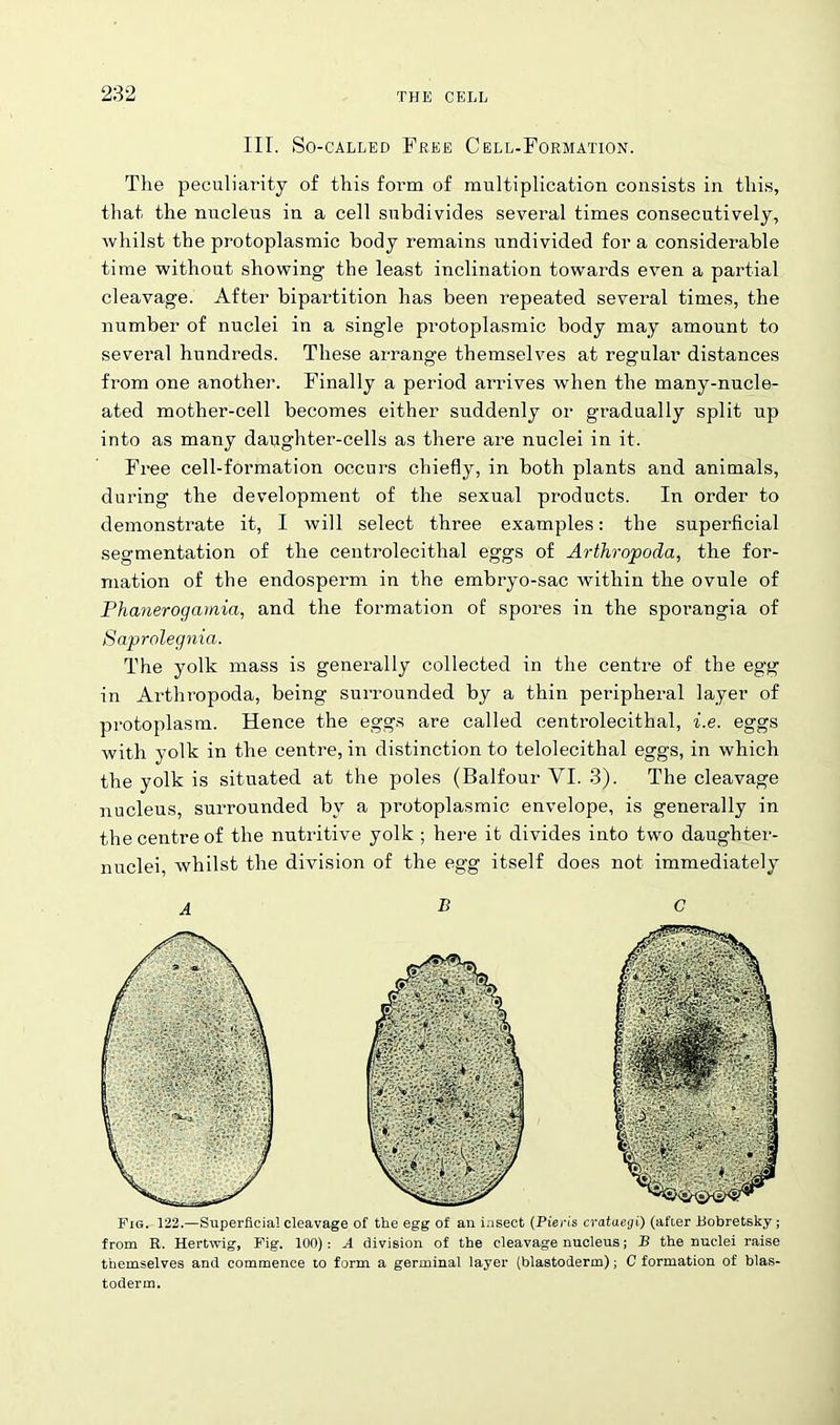 III. So-called Free Cell-Formation. The peculiarity of this form of multiplication consists in this, that the nucleus in a cell subdivides several times consecutively, whilst the protoplasmic body remains undivided for a considerable time without showing the least inclination towards even a partial cleavage. After bipartition has been repeated several times, the number of nuclei in a single protoplasmic body may amount to several hundreds. These arrange themselves at regular distances from one another. Finally a period arrives when the many-nucle- ated mother-cell becomes either suddenly or gradually split up into as many daughter-cells as there are nuclei in it. Free cell-formation occurs chiefly, in both plants and animals, during the development of the sexual products. In order to demonstrate it, I will select three examples: the superficial segmentation of the centrolecithal eggs of Arthropoda, the for- mation of the endosperm in the embryo-sac within the ovule of Phcmerogamia, and the formation of spores in the sporangia of Saprolegnia. The yolk mass is generally collected in the centre of the egg in Arthropoda, being surrounded by a thin peripheral layer of protoplasm. Hence the eggs are called centrolecithal, i.e. eggs with yolk in the centre, in distinction to telolecithal eggs, in which the yolk is situated at the poles (Balfour YI. 3). The cleavage nucleus, surrounded by a protoplasmic envelope, is generally in the centre of the nutritive yolk ; here it divides into two daughter- nuclei, whilst the division of the egg itself does not immediately A B G Fig. 122.—Superficial cleavage of the egg of an insect (Pieris crataegi) (after Bobretsky; from R. Hertwig, Fig. 100): A division of the cleavage nucleus; B the nuclei raise themselves and commence to form a germinal layer (blastoderm); C formation of blas- toderm.