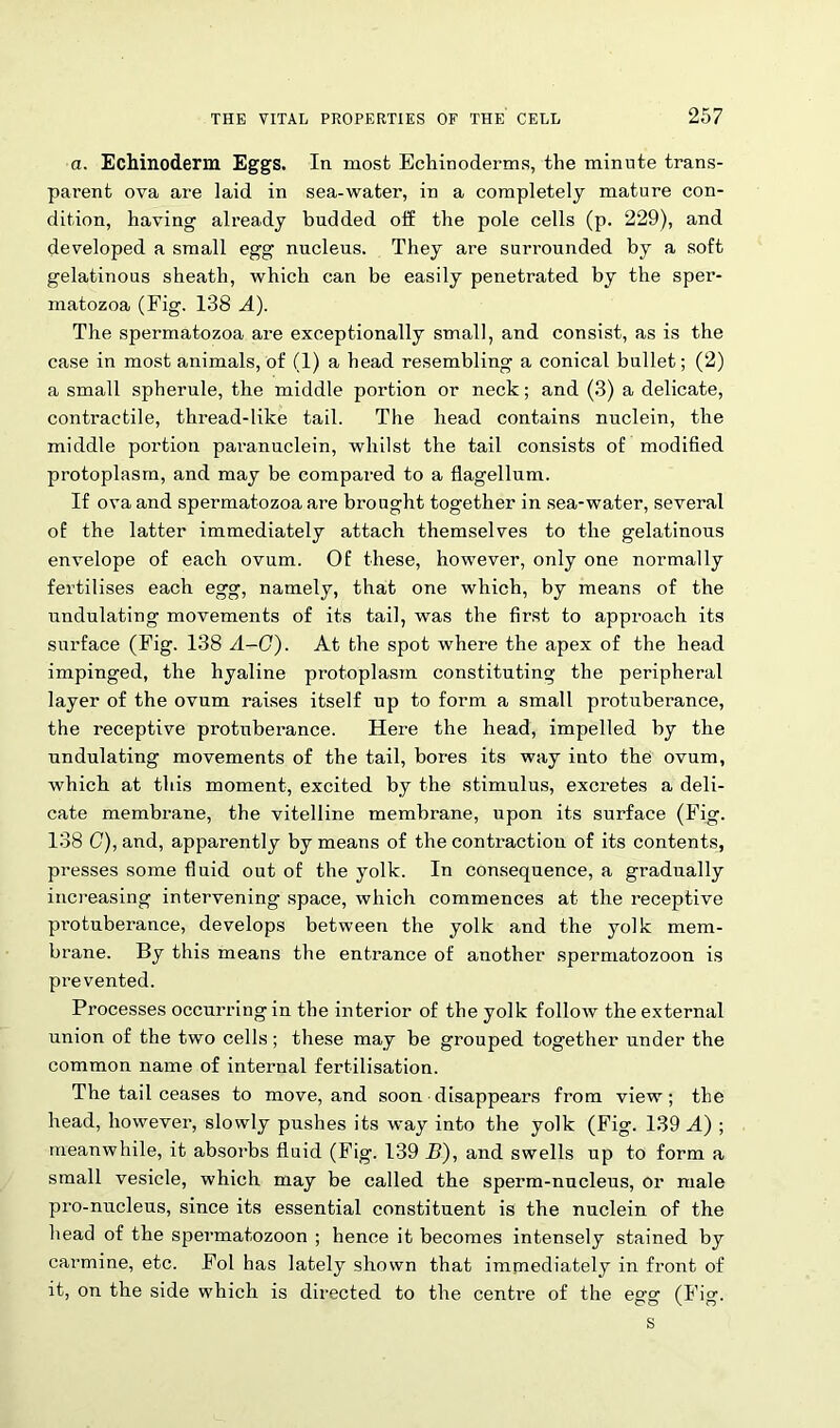 a. Echinoderm Eggs. In most Echinoderms, the minute trans- parent ova are laid in sea-water, in a completely mature con- dition, having already budded off the pole cells (p. 229), and developed a small egg nucleus. They are surrounded by a soft gelatinous sheath, which can be easily penetrated by the sper- matozoa (Fig. 138 A). The spermatozoa are exceptionally small, and consist, as is the case in most animals, of (1) a head resembling a conical bullet; (2) a small spherule, the middle portion or neck; and (3) a delicate, contractile, thread-like tail. The head contains nuclein, the middle portion paranuclein, whilst the tail consists of modified protoplasm, and may be compared to a flagellum. If ova and spermatozoa are brought together in sea-water, several of the latter immediately attach themselves to the gelatinous envelope of each ovum. Of these, however, only one normally fertilises each egg, namely, that one which, by means of the undulating movements of its tail, was the first to approach its surface (Fig. 138 A-C). At the spot where the apex of the head impinged, the hyaline protoplasm constituting the peripheral layer of the ovum raises itself up to form a small protuberance, the receptive protuberance. Here the head, impelled by the undulating movements of the tail, bores its way into the ovum, which at this moment, excited by the stimulus, excretes a deli- cate membrane, the vitelline membrane, upon its surface (Fig. 138 C), and, apparently by means of the contraction of its contents, presses some fluid out of the yolk. In consequence, a gradually increasing intervening space, which commences at the receptive protuberance, develops between the yolk and the yolk mem- brane. By this means the entrance of another spermatozoon is prevented. Processes occurring in the interior of the yolk follow the external union of the two cells ; these may be grouped together under the common name of internal fertilisation. The tail ceases to move, and soon disappears from view; the head, however, slowly pushes its way into the yolk (Fig. 139 A) ; meanwhile, it absorbs fluid (Fig. 139 B), and swells up to form a small vesicle, which may be called the sperm-nucleus, or male pro-nucleus, since its essential constituent is the nuclein of the head of the spermatozoon ; hence it becomes intensely stained by carmine, etc. Fol has lately shown that immediately in front of it, on the side which is directed to the centi'e of the egg (Fig.