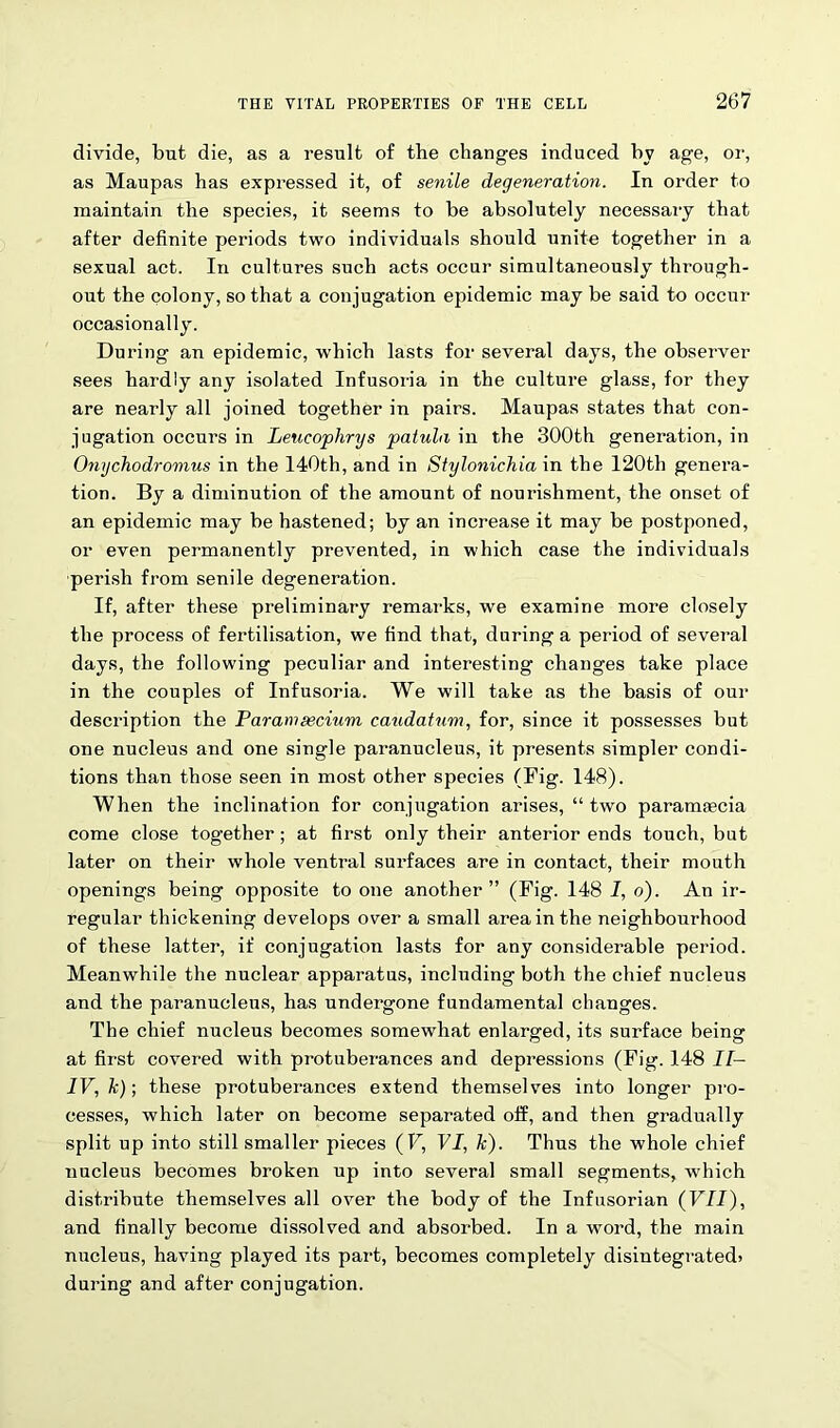 divide, but die, as a result of the changes induced by age, or, as Maupas has expressed it, of senile degeneration. In order to maintain the species, it seems to be absolutely necessary that after definite periods two individuals should unite together in a sexual act. In cultui’es such acts occur simultaneously through- out the colony, so that a conjugation epidemic may be said to occur occasionally. During an epidemic, which lasts for several days, the observer sees hardly any isolated Infusoria in the culture glass, for they are nearly all joined together in pairs. Maupas states that con- jugation occurs in Leucophrys patula in the 300th generation, in Onychodromus in the 140th, and in Styloniehia in the 120th genera- tion. By a diminution of the amount of nourishment, the onset of an epidemic may be hastened; by an increase it may be postponed, or even permanently prevented, in which case the individuals perish from senile degeneration. If, after these preliminary remarks, we examine more closely the process of fertilisation, we find that, during a period of several days, the following peculiar and interesting changes take place in the couples of Infusoria. We will take as the basis of our description the Paramascium caudatum, for, since it possesses but one nucleus and one single paranucleus, it presents simpler condi- tions than those seen in most other species (Fig. 148). When the inclination for conjugation arises, “ two paramtecia come close together; at first only their anterior ends touch, but later on their whole ventral surfaces are in contact, their mouth openings being opposite to one another” (Fig. 148 I, o). An ir- regular thickening develops over a small area in the neighbourhood of these latter, if conjugation lasts for any considerable period. Meanwhile the nuclear apparatus, including both the chief nucleus and the paranucleus, has undergone fundamental changes. The chief nucleus becomes somewhat enlarged, its surface being at first covered with protuberances and depressions (Fig. 148 II— IV, k); these protuberances extend themselves into longer pro- cesses, which later on become separated off, and then gradually split up into still smaller pieces (F, VI, k). Thus the whole chief nucleus becomes broken up into several small segments, which distribute themselves all over the body of the Infusorian (VII), and finally become dissolved and absorbed. In a word, the main nucleus, having played its part, becomes completely disintegrated) during and after conjugation.
