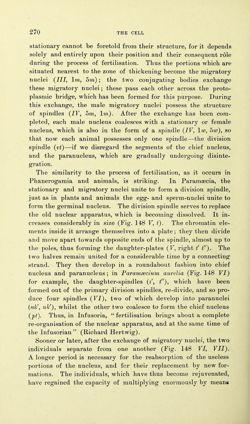 stationary cannot be foretold from their structure, for it depends solely and entirely upon their position and their consequent role during the process of fertilisation. Thus the portions which are situated nearest to the zone of thickening become the migratory nuclei (III, lm, 5m); the two conjugating bodies exchange these migratory nuclei; these pass each other across the proto- plasmic bridge, which has been formed for this purpose. During this exchange, the male migratory nuclei possess the structure of spindles (IV, 5m, lm). After the exchange has been com- pleted, each male nucleus coalesces with a stationary or female nucleus, which is also in the form of a spindle (IV, 1 w, 5w), so that now each animal possesses only one spindle—the division spindle (vt)—if we disregard the segments of the chief nucleus, and the paranucleus, which are gradually undergoing disinte- gration. The similarity to the process of fertilisation, as it occurs in Phanerogamia and animals, is striking. In Paramsecia, the stationary and migratory nuclei unite to form a division spindle, just as in plants and animals the egg- and sperm-nuclei unite to form the germinal nucleus. The division spindle serves to replace the old nuclear apparatus, which is becoming dissolved. It in- creases considerably in size (Fig. 148 F, t). The chromatin ele- ments inside it arrange themselves into a plate; they then divide and move apart towards opposite ends of the spindle, almost up to the poles, thus forming the daughter-plates (V, right t't). The two halves remain united for a considerable time by a connecting strand. They then develop in a roundabout fashion into chief nucleus and paranucleus; in Paramascium aurelia (Fig. 148 FT) for example, the daughter-spindles (t', t), which have been formed out of the primary division spindles, re-divide, and so pro- duce four spindles (FT), two of which develop into paranuclei (nk\ ilk'), whilst the other two coalesce to form the chief nucleus (pt). Thus, in Infusoria, “fertilisation brings about a complete re-organisation of the nuclear apparatus, and at the same time of the Infusorian” (Richard Hertwig). Sooner or later, after the exchange of migratory nuclei, the two individuals separate from one another (Fig. 148 FT, FTT). A longer period is necessary for the reabsorption of the useless portions of the nucleus, and for their replacement by new for- mations. The individuals, which have thus become rejuvenated, have regained the capacity of multiplying enormously by means
