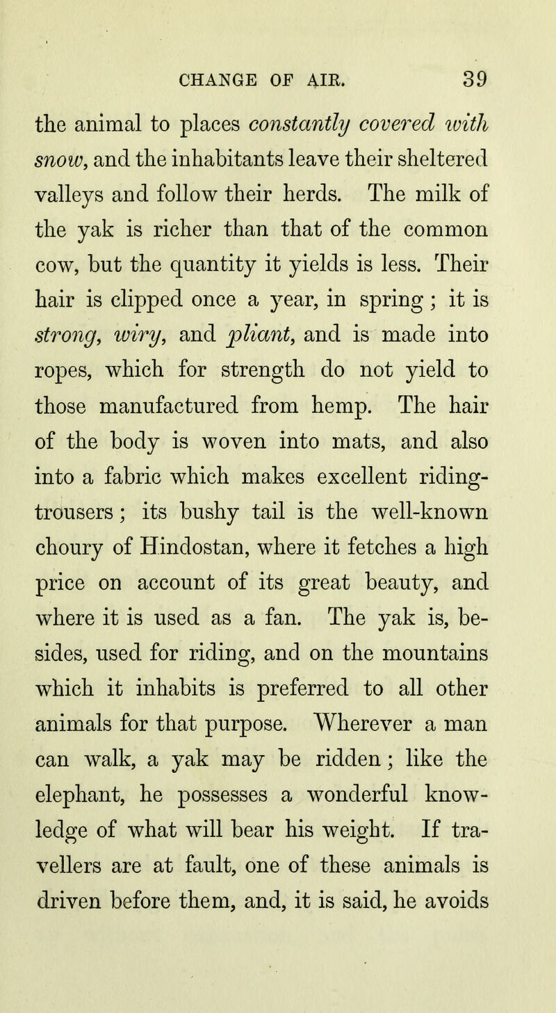 the animal to places constantly covered ivitli snow, and the inhabitants leave their sheltered valleys and follow their herds. The milk of the yak is richer than that of the common cow, but the quantity it yields is less. Their hair is clipped once a year, in spring; it is strong, luiry, and pliant, and is made into ropes, which for strength do not yield to those manufactured from hemp. The hair of the body is woven into mats, and also into a fabric which makes excellent riding- trousers ; its bushy tail is the well-known choury of Hindostan, where it fetches a high price on account of its great beauty, and where it is used as a fan. The yak is, be- sides, used for riding, and on the mountains which it inhabits is preferred to all other animals for that purpose. Wherever a man can walk, a yak may be ridden; like the elephant, he possesses a wonderful know- ledge of what will bear his weight. If tra- vellers are at fault, one of these animals is driven before them, and, it is said, he avoids