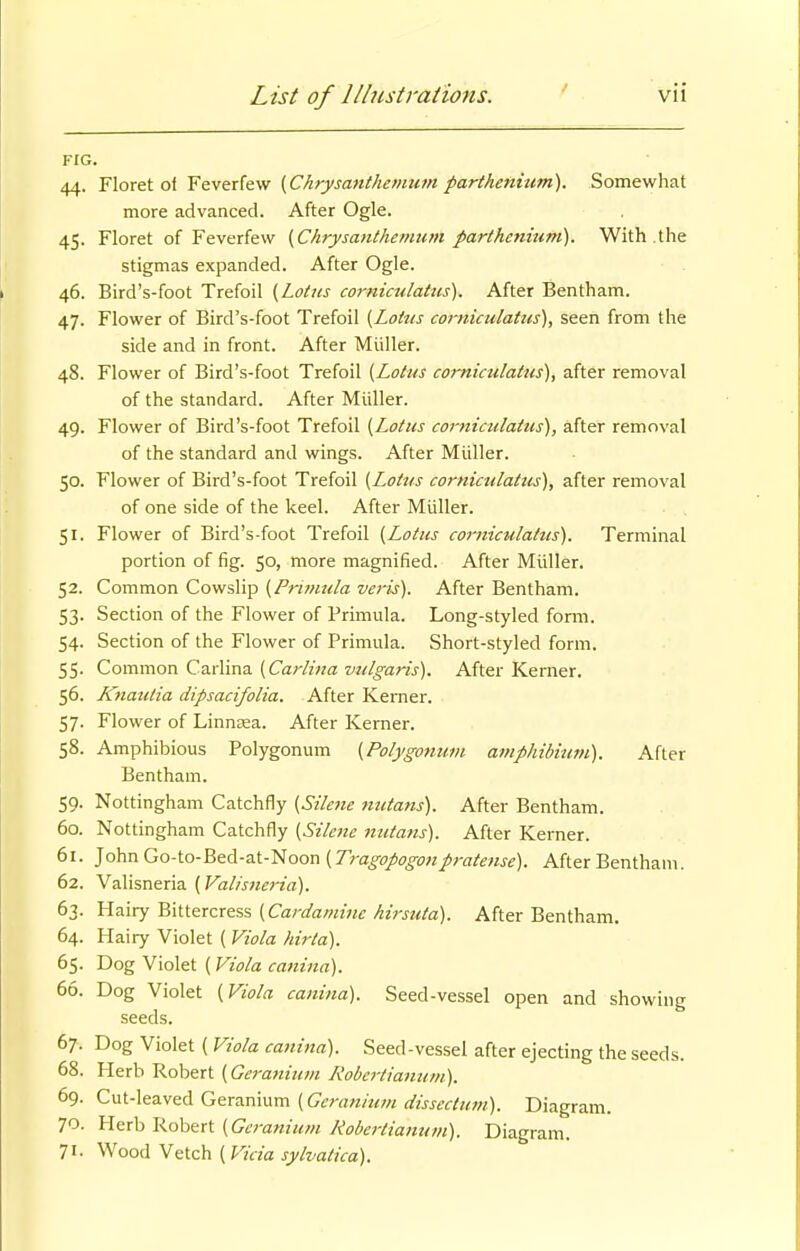 FIG. 44. Floret of Feverfew {Chrysanthemum patihenium). Somewhat more advanced. After Ogle. 45. Floret of Feverfew (Chrysanthemum parthenium). With .the stigmas expanded. After Ogle. 46. Bird's-foot Trefoil {Lotus cornicutatus). After Bentham. 47. Flower of Bird's-foot Trefoil {Lotus cornicutatus), seen from the side and in front. After Midler. 48. Flower of Bird's-foot Trefoil {Lotus comiculatus), after removal of the standard. After Miiller. 49. Flower of Bird's-foot Trefoil {Lotus coj-nicitlatus), after removal of the standard and wings. After Miiller. 50. Flower of Bird's-foot Trefoil {Lotus comiculatus), after removal of one side of the keel. After Miiller. 51. Flower of Bird's-foot Trefoil {Lotus corniculattts). Terminal portion of fig. 50, more magnified. After Miiller. 52. Common Cowslip {Primula veris). After Bentham. 53. Section of the Flower of Primula. Long-styled form. 54. Section of the Flower of Primula. Short-styled form. 55. Common Carlina {Carlina vulgaris). After Kerner. 56. Ktiatttia dipsacifolia. After Kerner. 57. Flower of Linnssa. After Kerner. 58. Amphibious Polygonum {Polygotium ampliibititn). After Bentham. 59. Nottingham Catchfly {Sikfie mitans). After Bentham. 60. Nottingham Catchfly {Silc7ie nutans). After Kerner. 61. John Go-to-Bed-at-Noon {Tragopogonpratense). After Bentham. 62. Valisneria {Valisjieria). 63. Hairy Bittercress (CWa/ww/«>j«/a). After Bentham. 64. Hairy Violet ( Viola hirta). 65. Dog Violet (Viola camna). 66. Dog Violet {Viola canina). Seed-vessel open and showing seeds. 67. Dog Violet ( Viola canina). Seed-vessel after ejecting the seeds. 68. Herb Robert {Geranium Robertianum). 69. Cut-leaved Geranium {Geranium dissectum). Diagram. 70. Herb Robert {Geranium Robertianum). Diagram. 7J. Wood Vetch {Vicia sylvatica).