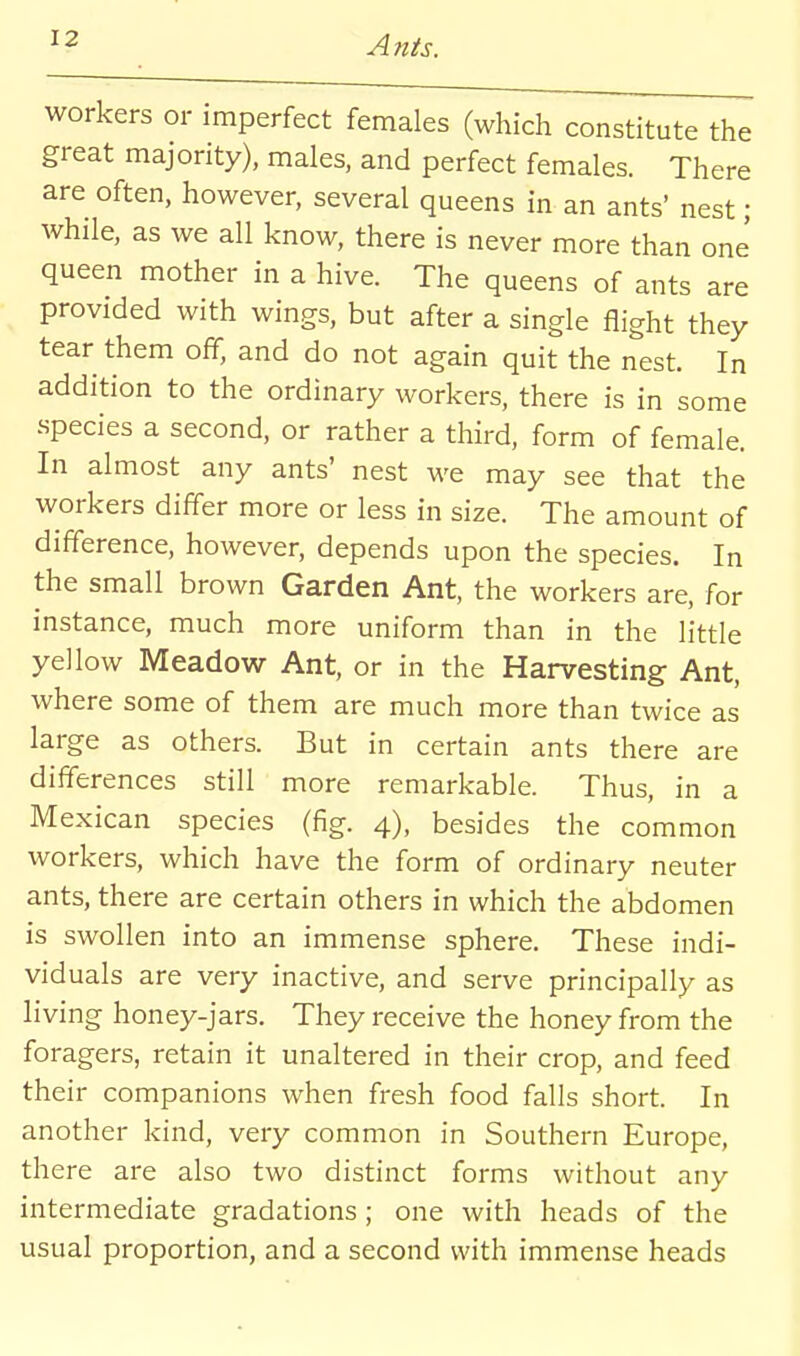 workers or imperfect females (which constitute the great majority), males, and perfect females. There are often, however, several queens in an ants' nest; while, as we all know, there is never more than one queen mother in a hive. The queens of ants are provided with wings, but after a single flight they tear them off, and do not again quit the nest. In addition to the ordinary workers, there is in some species a second, or rather a third, form of female. In almost any ants' nest we may see that the workers differ more or less in size. The amount of difference, however, depends upon the species. In the small brown Garden Ant, the workers are, for instance, much more uniform than in the little yellow Meadow Ant, or in the Harvesting Ant, where some of them are much more than twice as large as others. But in certain ants there are differences still more remarkable. Thus, in a Mexican species (fig. 4), besides the common workers, which have the form of ordinary neuter ants, there are certain others in which the abdomen is swollen into an immense sphere. These indi- viduals are very inactive, and serve principally as living honey-jars. They receive the honey from the foragers, retain it unaltered in their crop, and feed their companions when fresh food falls short. In another kind, very common in Southern Europe, there are also two distinct forms without any intermediate gradations ; one with heads of the usual proportion, and a second with immense heads