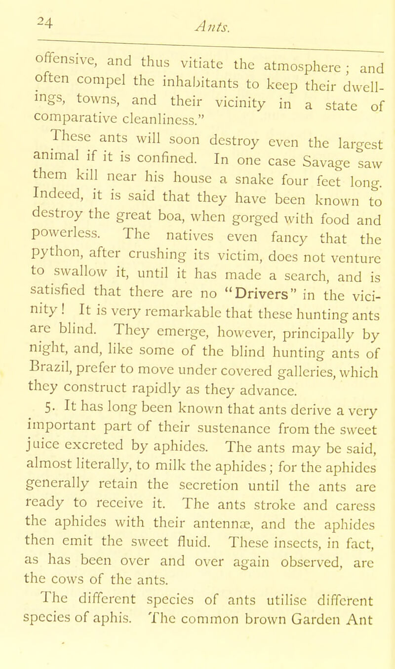 offensive, and thus vitiate the atmosphere • and often compel the inhabitants to keep their dwell- ings, towns, and their vicinity in a state of comparative cleanliness. These ants will soon destroy even the largest animal if it is confined. In one case Savage saw them kill near his house a snake four feet long. Indeed, it is said that they have been known to destroy the great boa, when gorged with food and powerless. The natives even fancy that the python, after crushing its victim, does not venture to swalloAV it, until it has made a search, and is satisfied that there are no Drivers in the vici- nity ! It is very remarkable that these hunting ants are blind. They emerge, however, principally by night, and, like some of the blind hunting ants of Brazil, prefer to move under covered galleries, which they construct rapidly as they advance. 5. It has long been known that ants derive a very important part of their sustenance from the sweet juice excreted by aphides. The ants may be said, almost literally, to milk the aphides; for the aphides generally retain the secretion until the ants are ready to receive it. The ants stroke and caress the aphides with their antennae, and the aphides then emit the sweet fluid. These insects, in fact, as has been over and over again observed, are the cows of the ants. The different species of ants utilise different species of aphis. The common brown Garden Ant