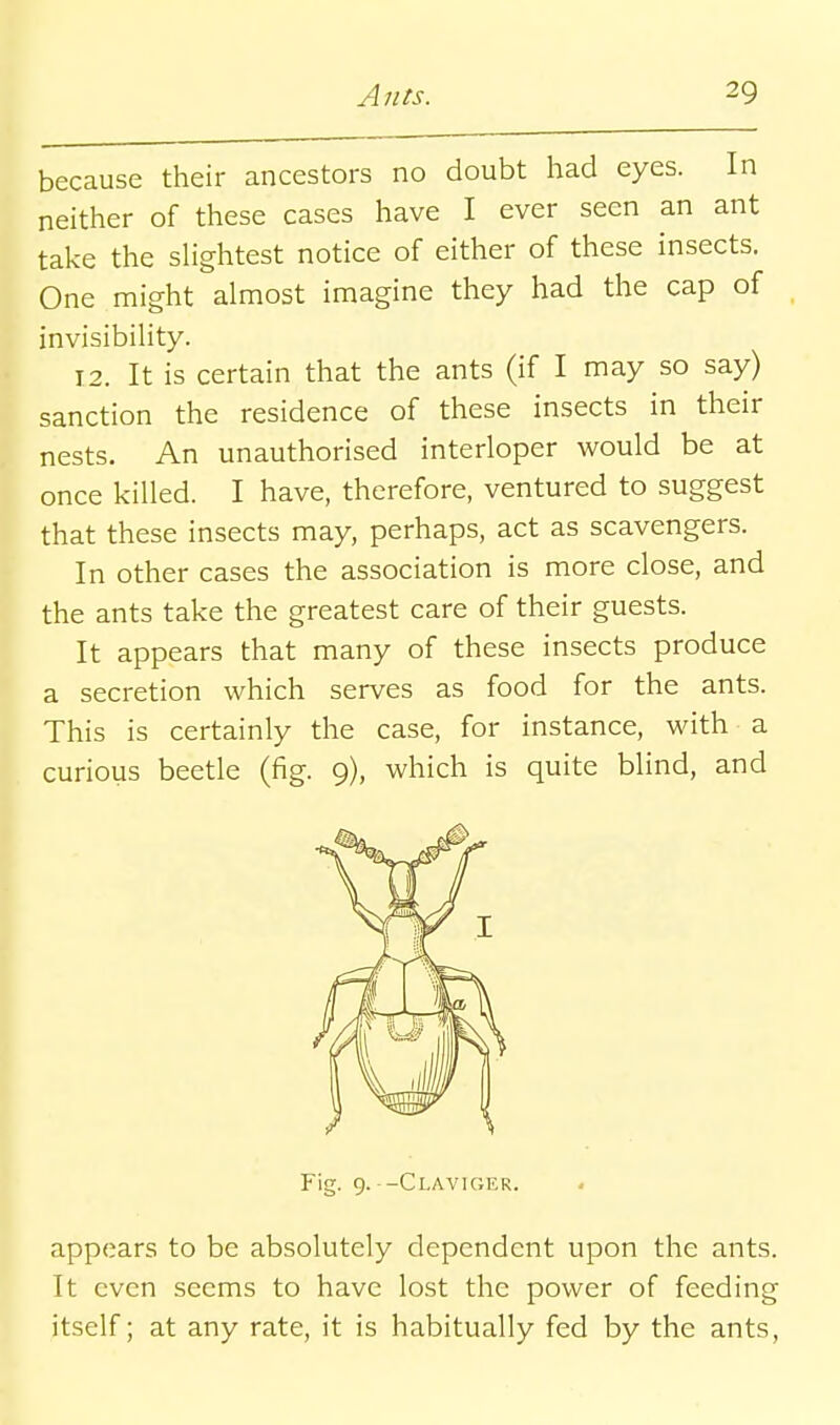 because their ancestors no doubt had eyes. In neither of these cases have I ever seen an ant take the sUghtest notice of either of these insects. One might almost imagine they had the cap of invisibihty. 12. It is certain that the ants (if I may so say) sanction the residence of these insects in their nests. An unauthorised interloper would be at once killed. I have, therefore, ventured to suggest that these insects may, perhaps, act as scavengers. In other cases the association is more close, and the ants take the greatest care of their guests. It appears that many of these insects produce a secretion which serves as food for the ants. This is certainly the case, for instance, with a curious beetle (fig. 9), which is quite blind, and appears to be absolutely dependent upon the ants. It even seems to have lost the power of feeding itself; at any rate, it is habitually fed by the ants, Fig. 9. -Claviger.