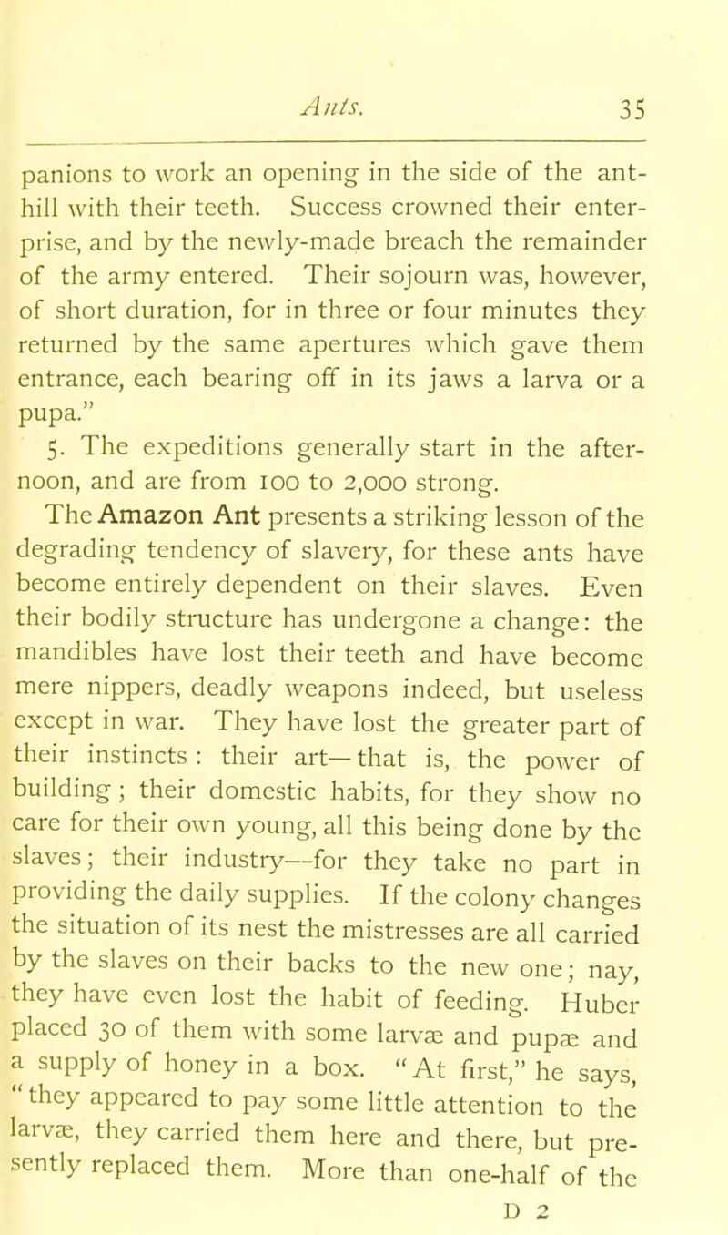 panions to work an opening in the side of the ant- hill with their teeth. Success crowned their enter- prise, and by the newly-made breach the remainder of the army entered. Their sojourn was, however, of short duration, for in three or four minutes they returned by the same apertures which gave them entrance, each bearing off in its jaws a larva or a pupa. 5. The expeditions generally start in the after- noon, and are from 100 to 2,000 strong. The Amazon Ant presents a striking lesson of the degrading tendency of slavery, for these ants have become entirely dependent on their slaves. Even their bodily structure has undergone a change: the mandibles have lost their teeth and have become mere nippers, deadly weapons indeed, but useless except in war. They have lost the greater part of their instincts : their art— that is, the power of building; their domestic habits, for they show no care for their own young, all this being done by the slaves; their industry—for they take no part in providing the daily supplies. If the colony changes the situation of its nest the mistresses are all carried by the slaves on their backs to the new one; nay, they have even lost the habit of feeding. Huber placed 30 of them with some larvae and pupae and a supply of honey in a box. At first, he says,  they appeared to pay some little attention to the larvae, they carried them here and there, but pre- sently replaced them. More than one-half of the D 2