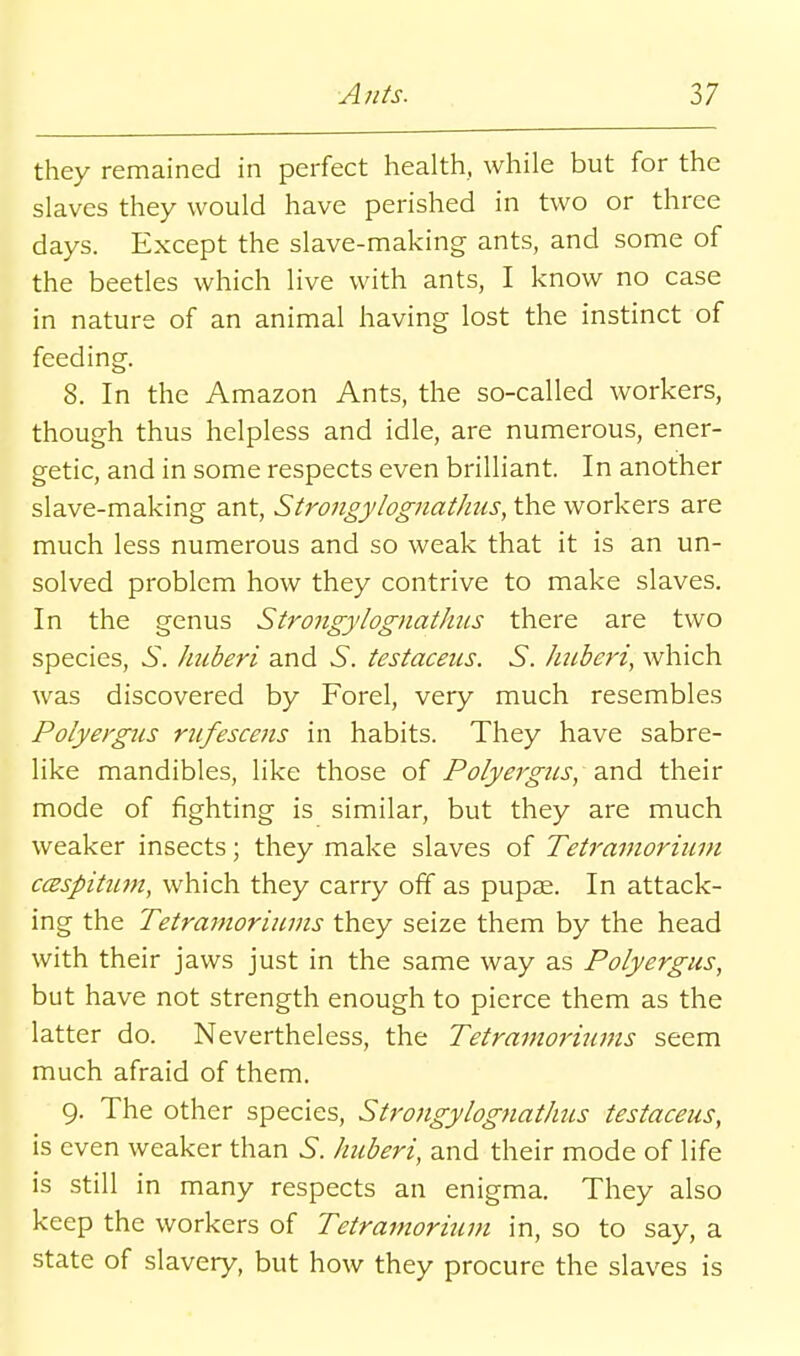 they remained in perfect health, while but for the slaves they would have perished in two or three days. Except the slave-making ants, and some of the beetles which live with ants, I know no case in nature of an animal having lost the instinct of feeding. 8. In the Amazon Ants, the so-called workers, though thus helpless and idle, are numerous, ener- getic, and in some respects even brilliant. In another slave-making ant, Strongylognathus, the workers are much less numerous and so weak that it is an un- solved problem how they contrive to make slaves. In the genus Strong}'lognathus there are two species, wS. huberi and 6. testaceiis. S. /mberi, which was discovered by Forel, very much resembles Polyergns rufescens in habits. They have sabre- like mandibles, like those of Polyergns, and their mode of fighting is similar, but they are much weaker insects; they make slaves of Tetrmnorium ccespit2C7n, which they carry off as pupae. In attack- ing the Tetraniorinms they seize them by the head with their jaws just in the same way as Polyergns, but have not strength enough to pierce them as the latter do. Nevertheless, the Tetramoriums seem much afraid of them. 9. The other species, Strongylognathus testaceus, is even weaker than 5. hnberi, and their mode of life is still in many respects an enigma. They also keep the workers of Tetramorium in, so to say, a state of slavery, but how they procure the slaves is