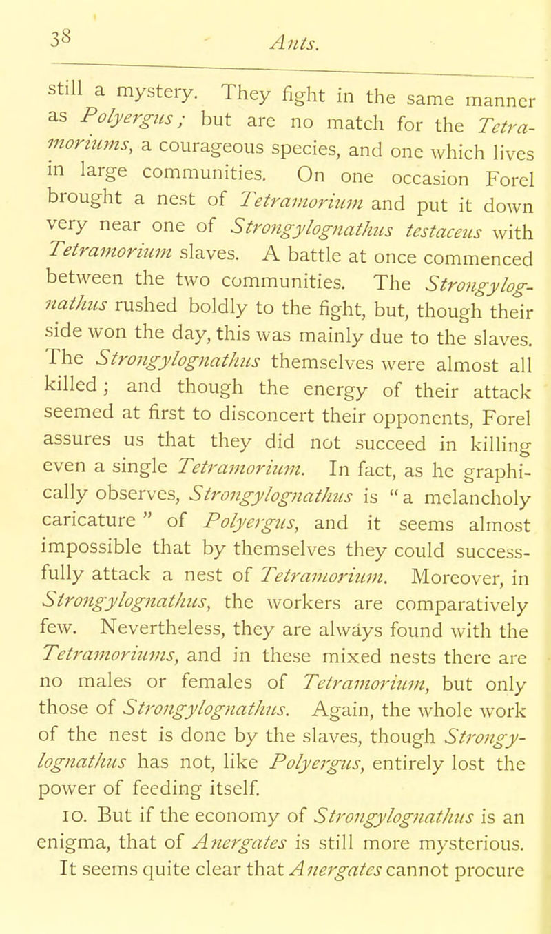 still a mystery. They fight in the same manner as Polyergiis; but are no match for the Tetra- moriums, a courageous species, and one which lives in large communities. On one occasion Forel brought a nest of Tetraniorium and put it down very near one of Strongylognathus testaceus with Tetrainorium slaves. A battle at once commenced between the two communities. The Strongylog- nathus rushed boldly to the fight, but, though their side won the day, this was mainly due to the slaves. The Strongylognathus themselves were almost all killed; and though the energy of their attack seemed at first to disconcert their opponents, Forel assures us that they did not succeed in killing even a single Tetraniorium. In fact, as he graphi- cally observes, Strongylognathus is  a melancholy caricature  of Polyergus, and it seems almost impossible that by themselves they could success- fully attack a nest of Tetj'amoriuni. Moreover, in Strongylognathus, the workers are comparatively few. Nevertheless, they are always found with the Tetramoriums, and in these mixed nests there are no males or females of Tetramorutm, but only those of Strongylognathus. Again, the whole work of the nest is done by the slaves, though Strongy- lognat/ms has not, like Polyergus, entirely lost the power of feeding itself 10. But if the economy of Strongylognathus is an enigma, that of Anergates is still more mysterious. It seems quite clear that Anergates cannot procure