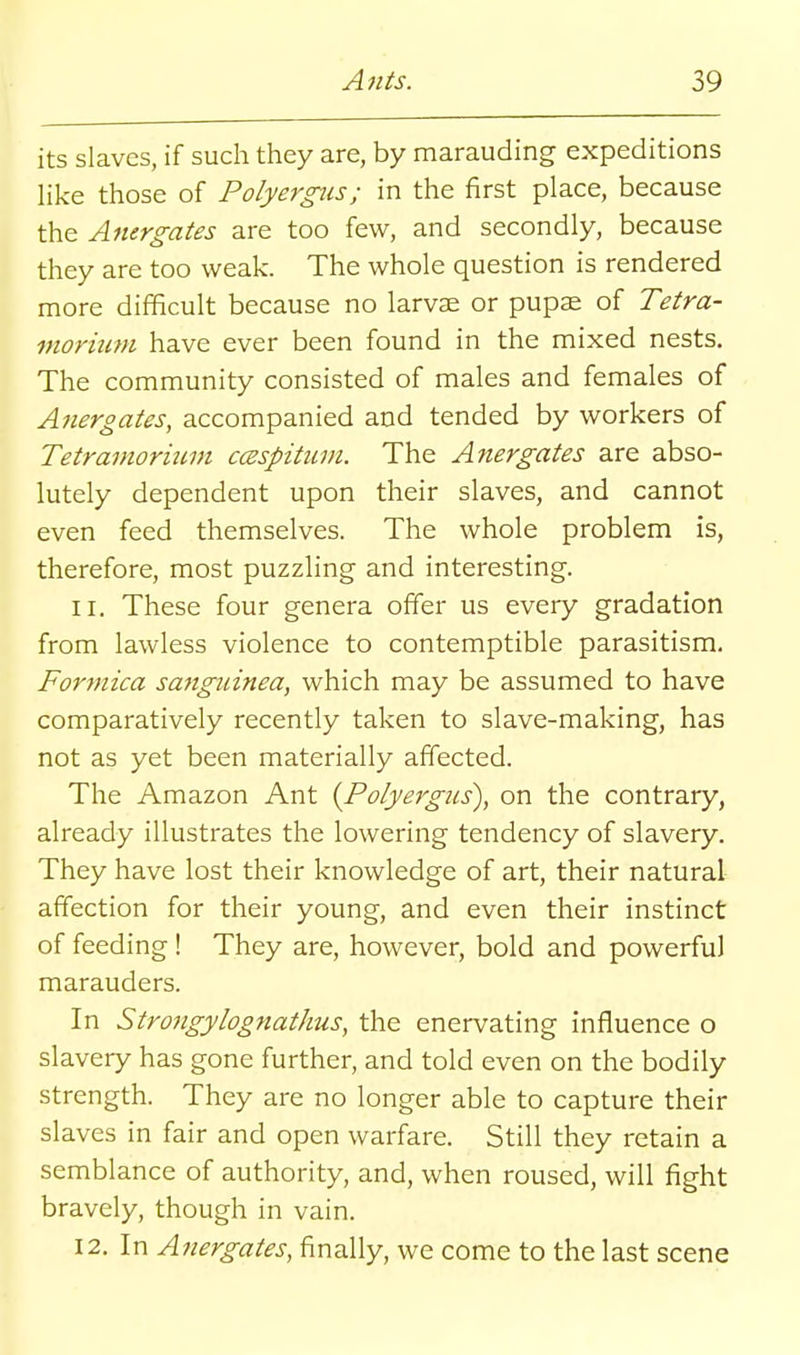 its slaves, if such they are, by marauding expeditions Hke those of Polyergtis; in the first place, because the Anergates are too few, and secondly, because they are too weak. The whole question is rendered more difficult because no larvae or pupas of Tetra- mormm have ever been found in the mixed nests. The community consisted of males and females of Anergates, accompanied and tended by workers of Tetramormm ccespitiiin. The Anergates are abso- lutely dependent upon their slaves, and cannot even feed themselves. The whole problem is, therefore, most puzzhng and interesting. 11. These four genera offer us every gradation from lawless violence to contemptible parasitism. Formica sanguinea, which may be assumed to have comparatively recently taken to slave-making, has not as yet been materially affected. The Amazon Ant {Polyergics), on the contrary, already illustrates the lowering tendency of slavery. They have lost their knowledge of art, their natural affection for their young, and even their instinct of feeding ! They are, however, bold and powerful marauders. In Strongylognathus, the enervating influence o slavery has gone further, and told even on the bodily strength. They are no longer able to capture their slaves in fair and open warfare. Still they retain a semblance of authority, and, when roused, will fight bravely, though in vain. 12. In Anergates, finally, we come to the last scene