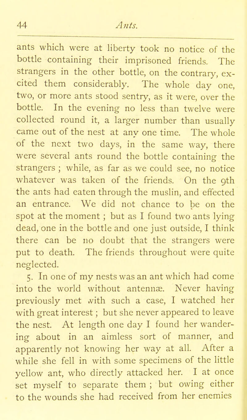 ants which were at liberty took no notice of the bottle containing their imprisoned friends. The strangers in the other bottle, on the contrary, ex- cited them considerably. The whole day one, two, or more ants stood sentry, as it were, over the bottle. In the evening no less than twelve were collected round it, a larger number than usually came out of the nest at any one time. The whole of the next two days, in the same way, there were several ants round the bottle containing the strangers ; while, as far as we could see, no notice whatever was taken of the friends. On the 9th the ants had eaten through the muslin, and effected an entrance. We did not chance to be on the spot at the moment ; but as I found two ants lying dead, one in the bottle and one just outside, I think there can be no doubt that the strangers were put to death. The friends throughout were quite neglected. 5. In one of my nests was an ant which had come into the world without antennae. Never having previously met A'ith such a case, I watched her with great interest; but she never appeared to leave the nest. At length one day I found her wander- ing about in an aimless sort of manner, and apparently not knowing her way at all. After a while she fell in with some specimens of the little yellow ant, who directly attacked her. I at once set myself to separate them ; but owing either to the wounds she had received from her enemies