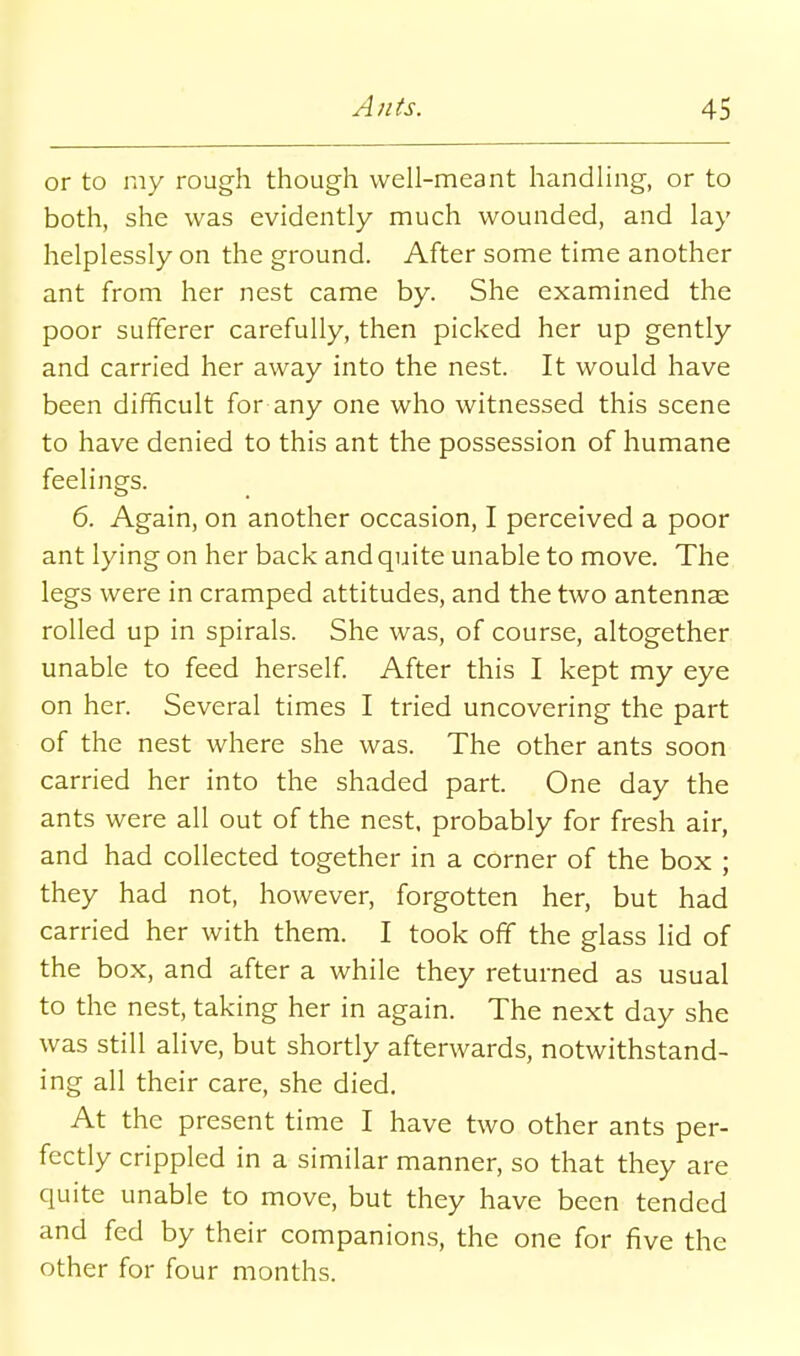 or to my rough though well-meant handling, or to both, she was evidently much wounded, and lay helplessly on the ground. After some time another ant from her nest came by. She examined the poor sufferer carefully, then picked her up gently and carried her away into the nest. It would have been difficult for any one who witnessed this scene to have denied to this ant the possession of humane feelings. 6. Again, on another occasion, I perceived a poor ant lying on her back and quite unable to move. The legs were in cramped attitudes, and the two antennas rolled up in spirals. She was, of course, altogether unable to feed herself After this I kept my eye on her. Several times I tried uncovering the part of the nest where she was. The other ants soon carried her into the shaded part. One day the ants were all out of the nest, probably for fresh air, and had collected together in a corner of the box ; they had not, however, forgotten her, but had carried her with them. I took off the glass lid of the box, and after a while they returned as usual to the nest, taking her in again. The next day she was still alive, but shortly afterwards, notwithstand- ing all their care, she died. At the present time I have two other ants per- fectly crippled in a similar manner, so that they are quite unable to move, but they have been tended and fed by their companions, the one for five the other for four months.