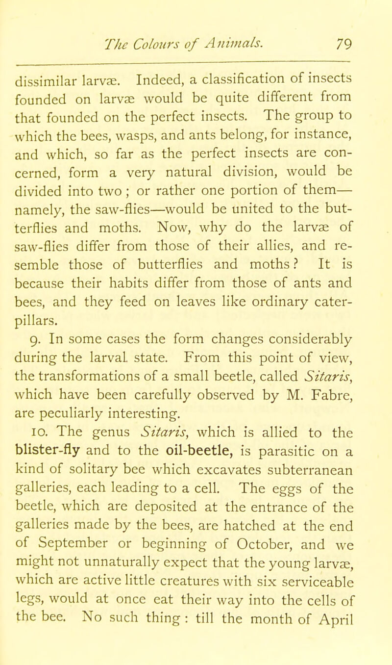 dissimilar larvae. Indeed, a classification of insects founded on larvae would be quite different from that founded on the perfect insects. The group to which the bees, wasps, and ants belong, for instance, and which, so far as the perfect insects are con- cerned, form a very natural division, would be divided into two ; or rather one portion of them— namely, the saw-flies—would be united to the but- terflies and moths. Now, why do the larvae of saw-flies differ from those of their allies, and re- semble those of butterflies and moths.'' It is because their habits differ from those of ants and bees, and they feed on leaves like ordinary cater- pillars. 9. In some cases the form changes considerably during the larval, state. From this point of view, the transformations of a small beetle, called Sitaris, which have been carefully observed by M. Fabre, are peculiarly interesting. 10. The genus Sitaris, which is allied to the blister-fly and to the oil-beetle, is parasitic on a kind of solitary bee which excavates subterranean galleries, each leading to a cell. The eggs of the beetle, which are deposited at the entrance of the galleries made by the bees, are hatched at the end of September or beginning of October, and we might not unnaturally expect that the young larvae, which are active little creatures with six serviceable legs, would at once eat their way into the cells of the bee. No such thing : till the month of April