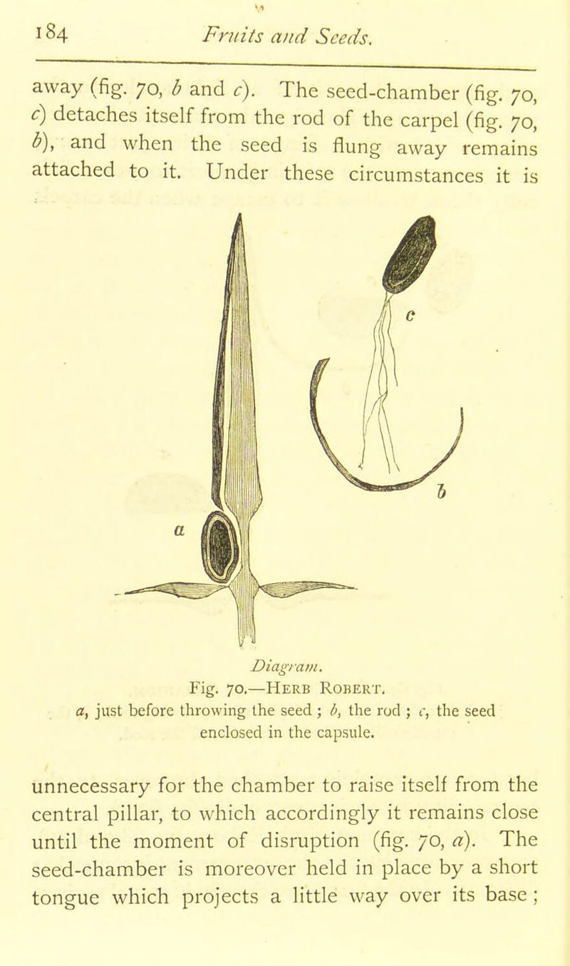 away (fig. 70, b and c). The seed-chamber (fig. 70, c) detaches itself from the rod of the carpel (fig. 70, b), and when the seed is flung away remains attached to it. Under these circumstances it is Diagram. Fig. 70.—Herb Robert. a, just before throwing the seed; b, the rod ; i, the seed enclosed in the capsule. unnecessary for the chamber to raise itself from the central pillar, to which accordingly it remains close until the moment of disruption (fig. 70, a). The seed-chamber is moreover held in place by a short tongue which projects a little way over its base;