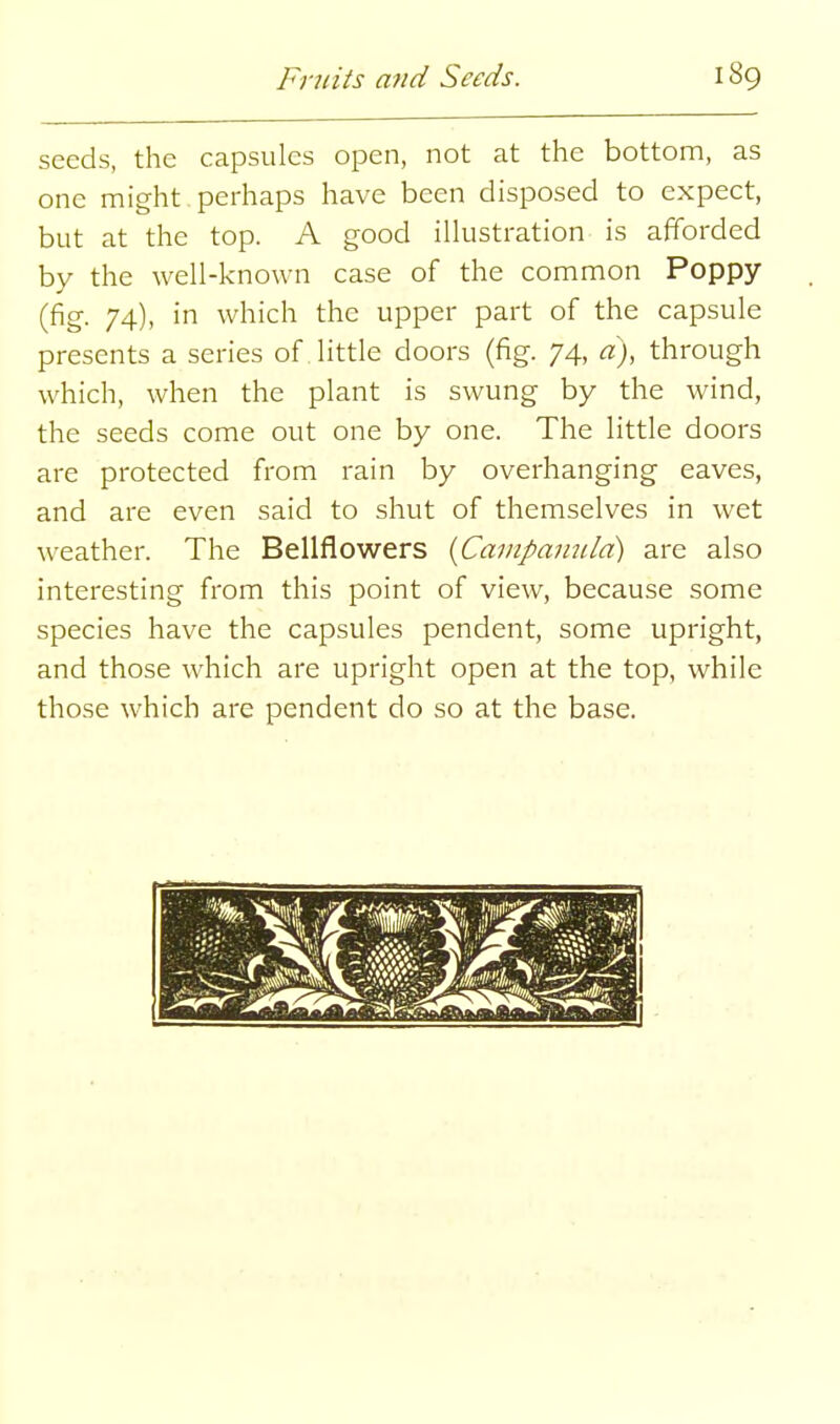 seeds, the capsules open, not at the bottom, as one might perhaps have been disposed to expect, but at the top. A good illustration is afforded by the well-known case of the common Poppy (fig. 74), in which the upper part of the capsule presents a series of little doors (fig. 74, a), through which, when the plant is swung by the wind, the seeds come out one by one. The little doors are protected from rain by overhanging eaves, and are even said to shut of themselves in wet weather. The Bellflowers {Cainpaindd) are also interesting from this point of view, because some species have the capsules pendent, some upright, and those which are upright open at the top, while those which are pendent do so at the base.