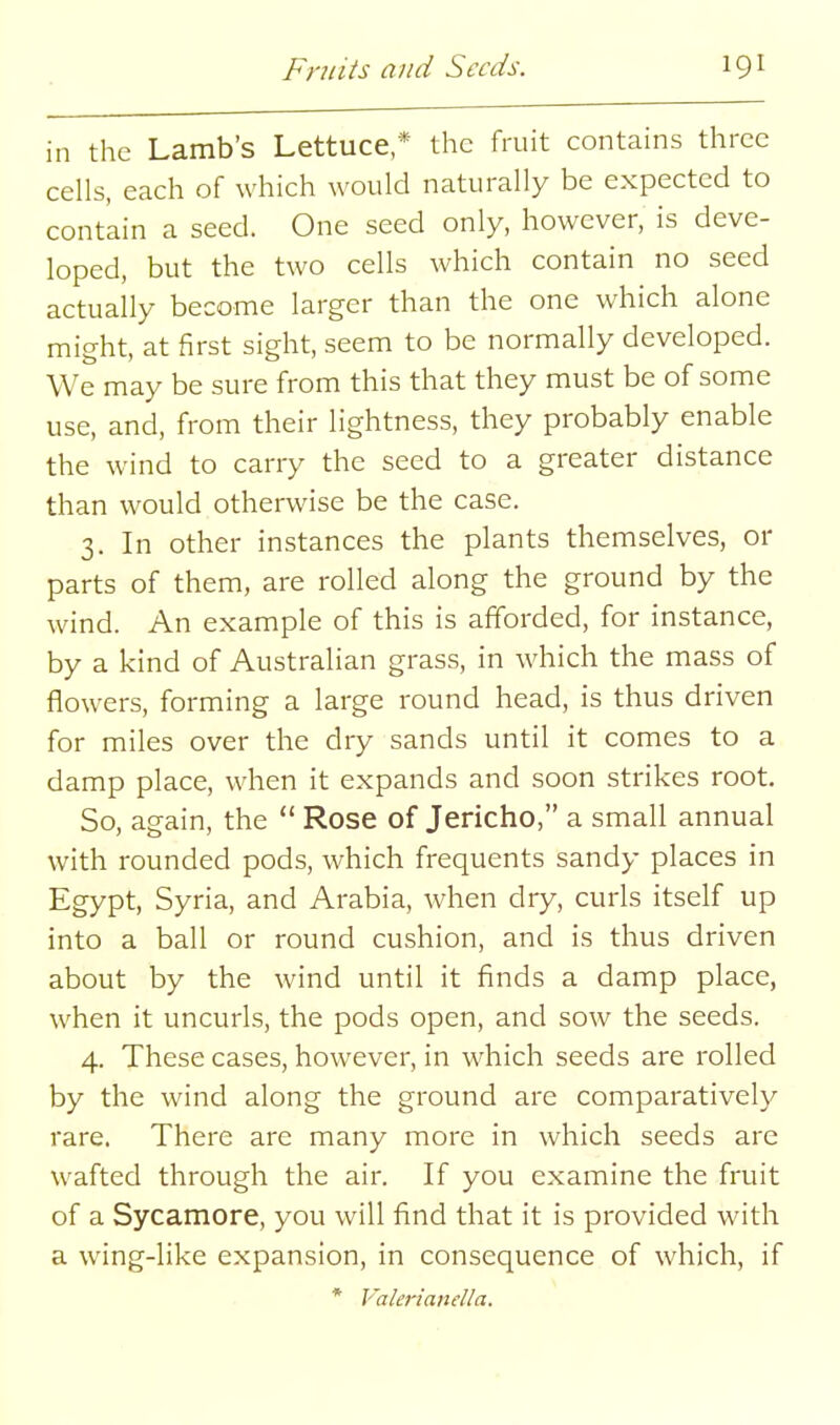 in the Lamb's Lettuce,* the fruit contains three cells, each of which would naturally be expected to contain a seed. One seed only, however, is deve- loped, but the two cells which contain no seed actually become larger than the one which alone might, at first sight, seem to be normally developed. We may be sure from this that they must be of some use, and, from their lightness, they probably enable the wind to carry the seed to a greater distance than would otherwise be the case. 3. In other instances the plants themselves, or parts of them, are rolled along the ground by the wind. An example of this is afforded, for instance, by a kind of Australian grass, in which the mass of flowers, forming a large round head, is thus driven for miles over the dry sands until it comes to a damp place, when it expands and soon strikes root. So, again, the  Rose of Jericho, a small annual with rounded pods, which frequents sandy places in Egypt, Syria, and Arabia, when dry, curls itself up into a ball or round cushion, and is thus driven about by the wind until it finds a damp place, when it uncurls, the pods open, and sow the seeds. 4. These cases, however, in which seeds are rolled by the wind along the ground are comparatively rare. There are many more in which seeds are wafted through the air. If you examine the fruit of a Sycamore, you will find that it is provided with a wing-like expansion, in consequence of which, if * Valerianella.