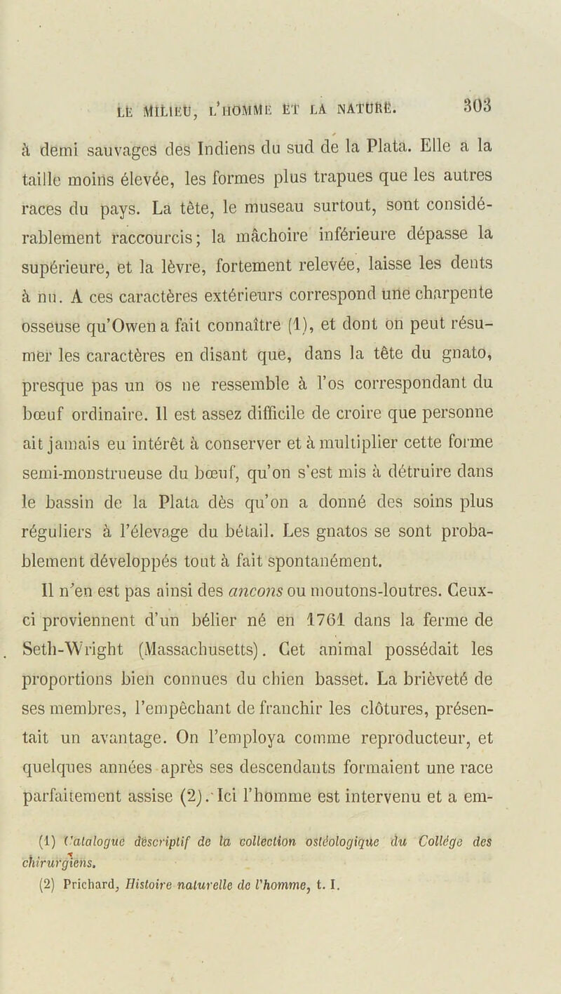 * à demi sauvages des Indiens du sud de la Plata. Elle a la taille moins élevée, les formes plus trapues que les autres races du pays. La tête, le museau surtout, sont considé- rablement raccourcis; la mâchoire inférieure dépasse la supérieure, et la lèvre, fortement relevée, laisse les dents à nu. A ces caractères extérieurs correspond une charpente osseuse qu’Owena fait connaître (1), et dont on peut résu- mer les caractères en disant que, dans la tête du gnato, presque pas un os ne ressemble à l’os correspondant du bœuf ordinaire. 11 est assez difficile de croire que personne ait jamais eu intérêt à conserver et à multiplier cette forme semi-monstrueuse du bœuf, qu’on s’est mis à détruire dans le bassin de la Plata dès qu’on a donné des soins plus réguliers à l’élevage du bétail. Les gnatos se sont proba- blement développés tout à fait spontanément. Il n’en est pas ainsi des ancons ou moutons-loutres. Ceux- ci proviennent d’un bélier né en 1761 dans la ferme de Setli-Wright (Massachusetts). Cet animal possédait les proportions bien connues du chien basset. La brièveté de ses membres, l’empêchant de franchir les clôtures, présen- tait un avantage. On l’employa comme reproducteur, et quelques années après ses descendants formaient une race parfaitement assise (2). Ici l’homme est intervenu et a em- (1) Catalogue d'èscriptif de la collection osléologique du Collège des chirurgiens. (2) Prichard, Histoire naturelle de l'homme, t. I.