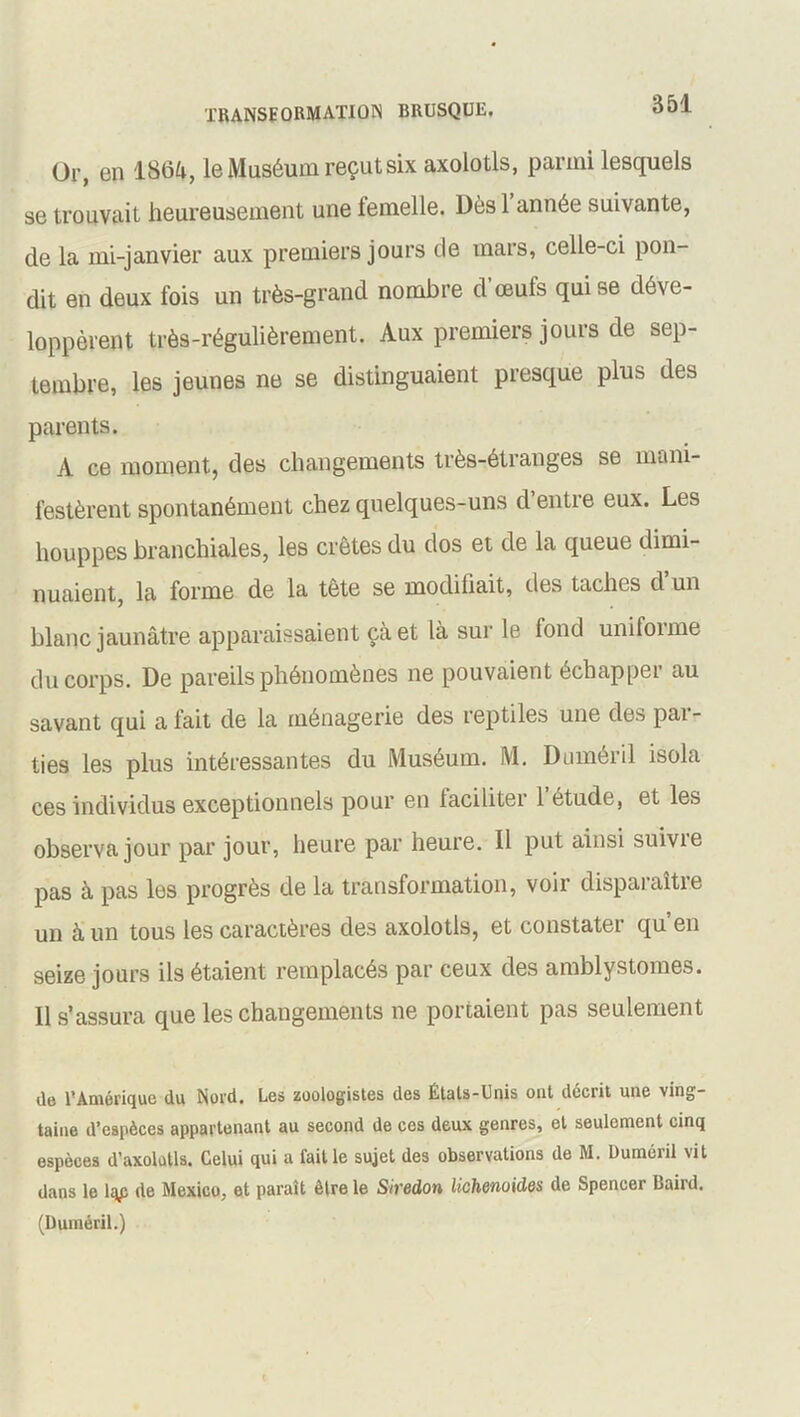 551 Or, en 1864, le Muséum reçut six axolotls, parmi lesquels se trouvait heureusement une femelle. Dès 1 année suivante, de la mi-janvier aux premiers jours de mars, celle-ci pon- dit en deux fois un très-grand nombre d œuls qui se déve- loppèrent très-régulièrement. Aux premiers jours de sep- tembre, les jeunes ne se distinguaient presque plus des parents. A ce moment, des changements très-étranges se mani- festèrent spontanément chez quelques-uns d’entre eux. Les houppes branchiales, les crêtes du dos et de la queue dimi- nuaient, la forme de la tête se modiiiait, des taches d un blanc jaunâtre apparaissaient çà et là sur le fond unifoime du corps. De pareils phénomènes ne pouvaient échapper au savant qui a lait de la ménagerie des reptiles une des pai- ties les plus intéressantes du Muséum. M. Duméril isola ces individus exceptionnels pour en faciliter 1 étude, et les observa jour par jour, heure par heure. Il put ainsi suivie pas à pas les progrès de la transformation, voir disparaître un à un tous les caractères des axolotls, et constater qu en seize jours ils étaient remplacés par ceux des amblystomes. Il s’assura que les changements ne portaient pas seulement île T Amérique du Nord. Les zoologistes des États-Unis ont décrit une ving- taine d’espèces appartenant au second de ces deux genres, et seulement cinq espèces d’axolotls. Celui qui a faille sujet des observations de M. Duméril vit dans le lqp de Mexico, et paraît être le Siredon lichenuides de Spencer Baird. (Duméril.)