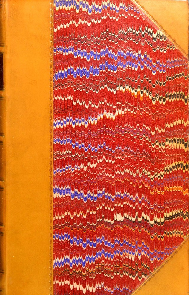 No text description is available for this image