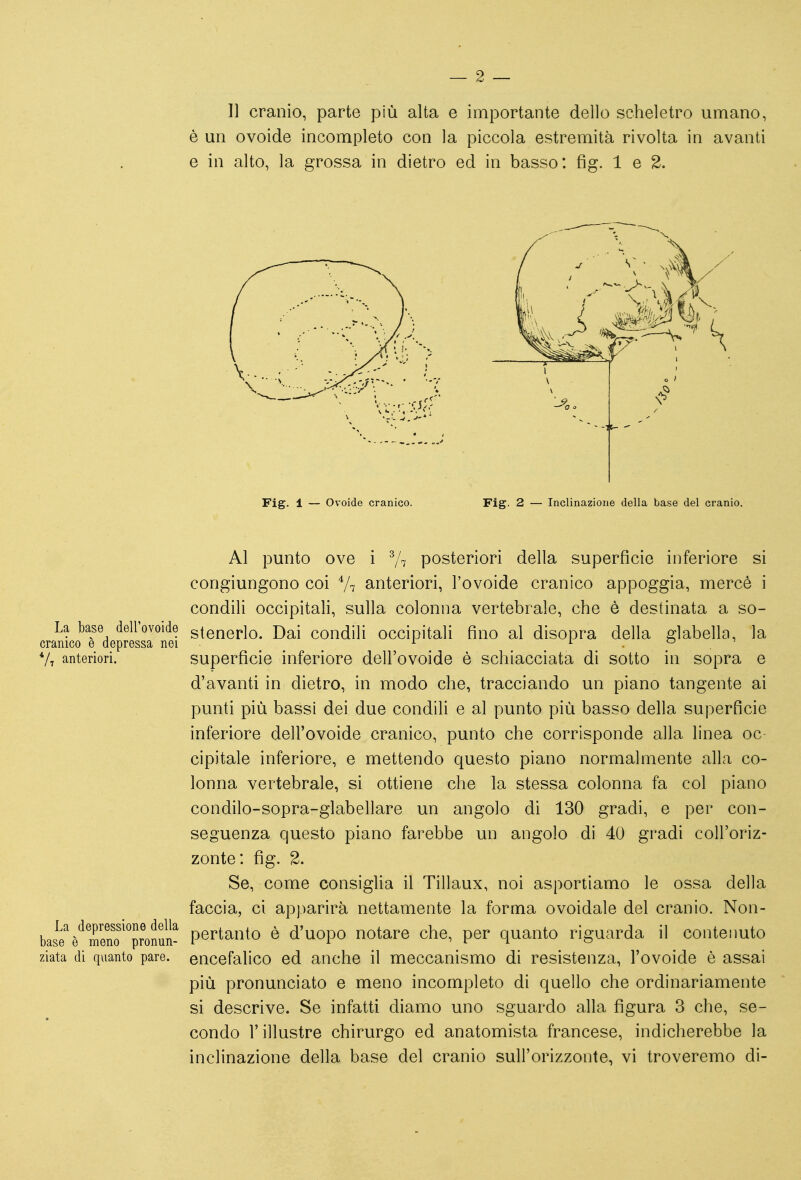 — 2 — 11 cranio, parte più alta e importante dello scheletro umano, è un ovoide incompleto con la piccola estremità rivolta in avanti e in alto, la grossa in dietro ed in basso: fig. 1 e 2. Al punto ove i ^7 posteriori delta superficie inferiore si congiungono coi 7? anteriori, l'ovoide cranico appoggia, mercè i condili occipitali, sulla colonna vertebrale, che è destinata a so- la base dell ovoide gtenerlo. Dai condili occipitali fino al disopra della glabella, la cranico e depressa nei ... ■ . anteriori. superficie inferiore dell'ovoide è schiacciata di sotto in sopra e d'avanti in dietro, in modo che, tracciando un piano tangente ai punti più bassi dei due condili e al punto più basso della superficie inferiore dell'ovoide cranico, punto che corrisponde alla linea oc cipitale inferiore, e mettendo questo piano normalmente alla co- lonna vertebrale, si ottiene che la stessa colonna fa col piano condilo-sopra-glabellare un angolo di 130 gradi, e per con- seguenza questo piano farebbe un angolo di 40 gradi coll'oriz- zonte: fig. 2. Se, come consiglia il Tillaux, noi asportiamo le ossa della faccia, ci apparirà nettamente la forma ovoidale del cranio. Non- bas^e^è^Teno^^^proS^ pertanto è d'uopo notare che, per quanto riguarda il contenuto ziata di quanto pare, encefalico ed anche il meccanismo di resistenza, l'ovoide è assai più pronunciato e meno incompleto di quello che ordinariamente si descrive. Se infatti diamo uno sguardo alla figura 3 che, se- condo l'illustre chirurgo ed anatomista francese, indicherebbe la