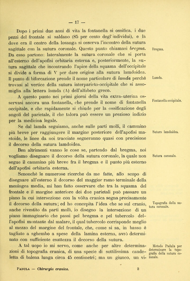 Dopo i primi due anni di vita la fontanella si ossifica, i due pezzi del frontale si saldano (85 per cento degl'individui), e là dove era il centro della losanga si osserva l'incontro della sutura sagittale con la sutura coronale. Questo punto chiamasi bregma. Da esso partono: lateralmente la sutura coronale che si porta all'esterno dell'apofìsi orbitaria esterna e, posteriormente, la su- tura sagittale che incontrando l'apice della squama dell'occipitale si divide a forma di \ per dare origine alla sutura lamdoidea. 11 punto di biforcazione prende il nome particolare di lamda perchè trovasi al vertice della sutura interparieto-occipitale che si asso- miglia alla lettera lamda (A) dell'alfabeto greco. A questo punto nei primi giorni della vita extra-uterina os- servasi ancora una fontanella, che prende il nome di fontanella occipitale, e che rapidamente si chiude per la ossificazione degli angoli del parietale, il che talora può essere un prezioso indizio per la medicina legale. Se dal lamda seguiamo, anche sulle parti moUi, il cammino più breve per raggiungere il margine posteriore dell'apofìsi ma- stoide, le linee da noi tracciate segneranno quasi con precisione il decorso della sutura lamdoidea. Ben altrimenti vanno le cose se, partendo dal bregma, noi vogliamo disegnare il decorso della sutura coronale, la quale non segue il cammino più breve fra il bregma e il punto più esterno dell'apofìsi orbitaria esterna. Senonchè le numerose ricerche da me fatte, allo scopo di disegnare all'esterno il decorso del maggior ramo terminale della meningea media, mi han fatto osservare che tra la squama del frontale e il margine anteriore dei due parietah può passare un piano la cui intersezione con la volta cranica segna precisamente il decorso della sutura; ed ho concepita l'idea che se sul cranio, anche rivestito da parti molli, io disegno la intersezione di un piano immaginario che passi pel bregma e pel tubercolo del- l'apofìsi montante dal malare, il qual tubercolo corrisponde meglio al mezzo del margine del frontale, che, come si sa, in basso è tagliato a sghembo a spese della lamina esterna, avrò determi- nato con sufficiente esattezza il decorso della sutura. A tal uopo io mi servo, come anche per altre determina- zioni di topografìa cranica, di una specie di sottilissima cande- letta di balena lunga circa 45 centimetri; ma un giunco, un vi- Rregma. Lamda. Fontanella occipitale. Sutura lamdoidea. Sutura coronale. Topografia della su- tura coronale. Metodo Padda per determinare la topo- grafia della sutura co- ronale. Padula — Chirurgia cranica.