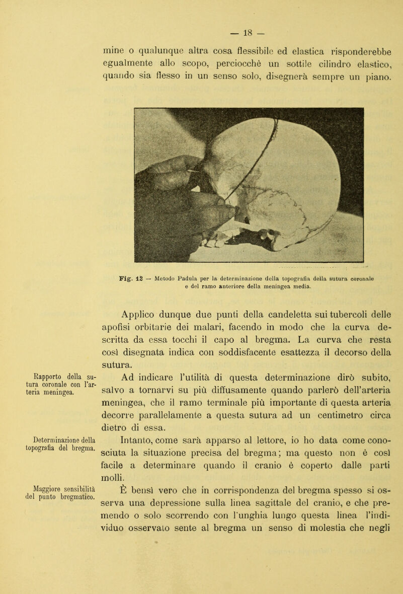 mine o qualunque altra cosa flessibile ed elastica risponderebbe egualmente allo scopo, perciocché un sottile cilindro elastico, quando sia flesso in un senso solo, disegnerà sempre un piano. Fig. 12 — Metodo Padula per la determinazione della topografia della sutura coronale e del ramo anteriore della meningea media. Applico dunque due punti della candeletta sui tubercoli delle apofisi orbitarie dei malari, facendo in modo che la curva de- scritta da essa tocchi il capo al bregma. La curva che resta così disegnata indica con soddisfacente esattezza il decorso della sutura. Rapporto della su- Ad indicare l'utilità di questa determinazione dirò subito, tura coronale con Far- , ^ . ^'n^ . ^ i . i , • teria meningea. salvo a tornarvi SU pm diffusamente quando parlerò dell arteria meningea, che il ramo terminale più importante di questa arteria decorre parallelamente a questa sutura ad un centimetro circa dietro di essa. Determinazione della Intanto, come sarà apparso al lettore, io ho data come cono- topografia del bregma, g^j^^g^ situazione precisa del bregma; ma questo non è così facile a determinare quando il cranio è coperto dalle parti molli. Maggiore sensibilità È bensì vero che in corrispondenza del bregma spesso si os- del punto bregmatico. . . -,11 • i serva una depressione sulla linea sagittale del cranio, e che pre- mendo o solo scorrendo con l'unghia lungo questa linea l'indi- viduo osservalo sente al bregma un senso di molestia che negli