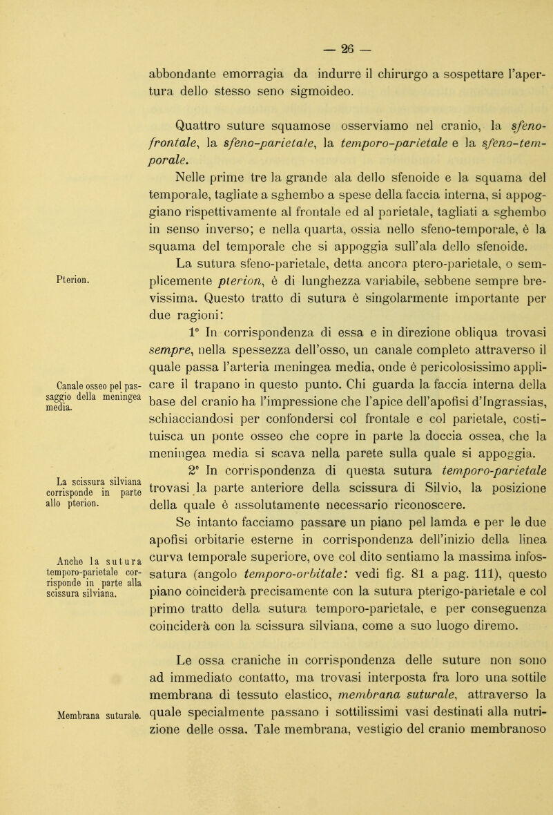 abbondante emorragia da indurre il chirurgo a sospettare l'aper- tura dello stesso seno sigmoideo. Quattro suture squamose osserviamo nel cranio, la §ferto- frontale, la §feno-parietale, la temporo-parletale e la sfeno-tem- porale. Nelle prime tre la grande ala dello sfenoide e la squama del temporale, tagliate a sghembo a spese della faccia interna, si appog- giano rispettivamente al frontale ed al parietale, tagliati a sghembo in senso inverso; e nella quarta, ossia nello sfeno-temporale, è la squama del temporale che si appoggia sull'ala dello sfenoide. La sutura sfeno-parietale, detta ancora ptero-parietale, o sem- Pterion. plicemente pterion, è di lunghezza variabile, sebbene sempre bre- vissima. Questo tratto di sutura è singolarmente importante per due ragioni: V In corrispondenza di essa e in direzione obliqua trovasi sempre, nella spessezza dell'osso, un canale completo attraverso il quale passa l'arteria meningea media, onde è pericolosissimo appli- Canale osseo pel pas- care il trapano in questo punto. Chi guarda la faccia interna della mlfl ^^^^^ ^^'^^^ base del cranio ha l'impressione che l'apice dell'apofìsi d'Ingrassias, schiacciandosi per confondersi col frontale e col parietale, costi- tuisca un ponte osseo che copre in parte la doccia ossea, che la meningea media si scava nella parete sulla quale si appoggia. 2Mn corrispondenza di questa sutura temporo-parietale trovasi la parte anteriore della scissura di Silvio, la posizione allo pterion. della quale è assolutamente necessario riconoscere. Se intanto facciamo passare un piano pel lamda e per le due apofisi orbitarie esterne in corrispondenza dell'inizio della linea Anclie la sutura <^ui'va temporale superiore, ove col dito sentiamo la massima infos- temporo-parietale cor- satura (angolo temporo-orbitah: vedi fìg. 81 a pag. Ili), questo risponde m parte alla . • • , . , . • i i scissura silviana. piano comciderà precisamente con la sutura pterigo-parietale e col primo tratto della sutura temporo-parietale, e per conseguenza coinciderà con la scissura silviana, come a suo luogo diremo. Le ossa craniche in corrispondenza delle suture non sono ad immediato contatto, ma trovasi interposta fra loro una sottile membrana di tessuto elastico, membrana suturale, attraverso la Membrana suturale, quale specialmente passano i sottilissimi vasi destinati alla nutri- zione delle ossa. Tale membrana, vestigio del cranio membranoso