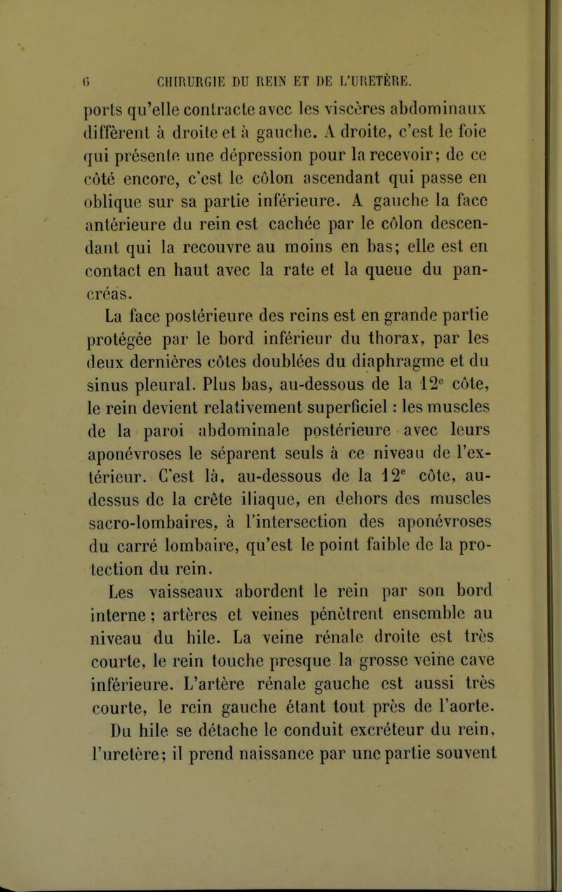 ports qu'elle contracte avec les viscères abdominaux diffèrent à droite et à gauche. A droite, c'est le foie qui présente une dépression pour la recevoir; de ce côté encore, c'est le côlon ascendant qui passe en oblique sur sa partie inférieure. A gauche la face antérieure du rein est cachée par le côlon descen- dant qui la recouvre au moins en bas; elle est en contact en haut avec la rate et la queue du pan- créas. La face postérieure des reins est en grande partie protégée par le bord inférieur du thorax, par les deux dernières côtes doublées du diaphragme et du sinus pleural. Plus bas, au-dessous de la l^* côte, le rein devient relativement superficiel : les muscles de la paroi abdominale postérieure avec leurs aponévroses le séparent seuls à ce niveau de l'ex- térieur. C'est là, au-dessous de la côte, au- dessus de la crête iliaque, en dehors des muscles sacro-lombaires, à l'intersection des aponévroses du carré lombaire, qu'est le point faible de la pro- tection du rein. Les vaisseaux abordent le rein par son bord interne ; artères et veines pénètrent ensemble au niveau du bile. La veine rénale droite est très courte, le rein touche presque la grosse veine cave inférieure. L'artère rénale gauche est aussi très courte, le rein gauche étant tout près de l'aorte. Du hile se détache le conduit excréteur du rein, l'uretère; il prend naissance par une partie souvent