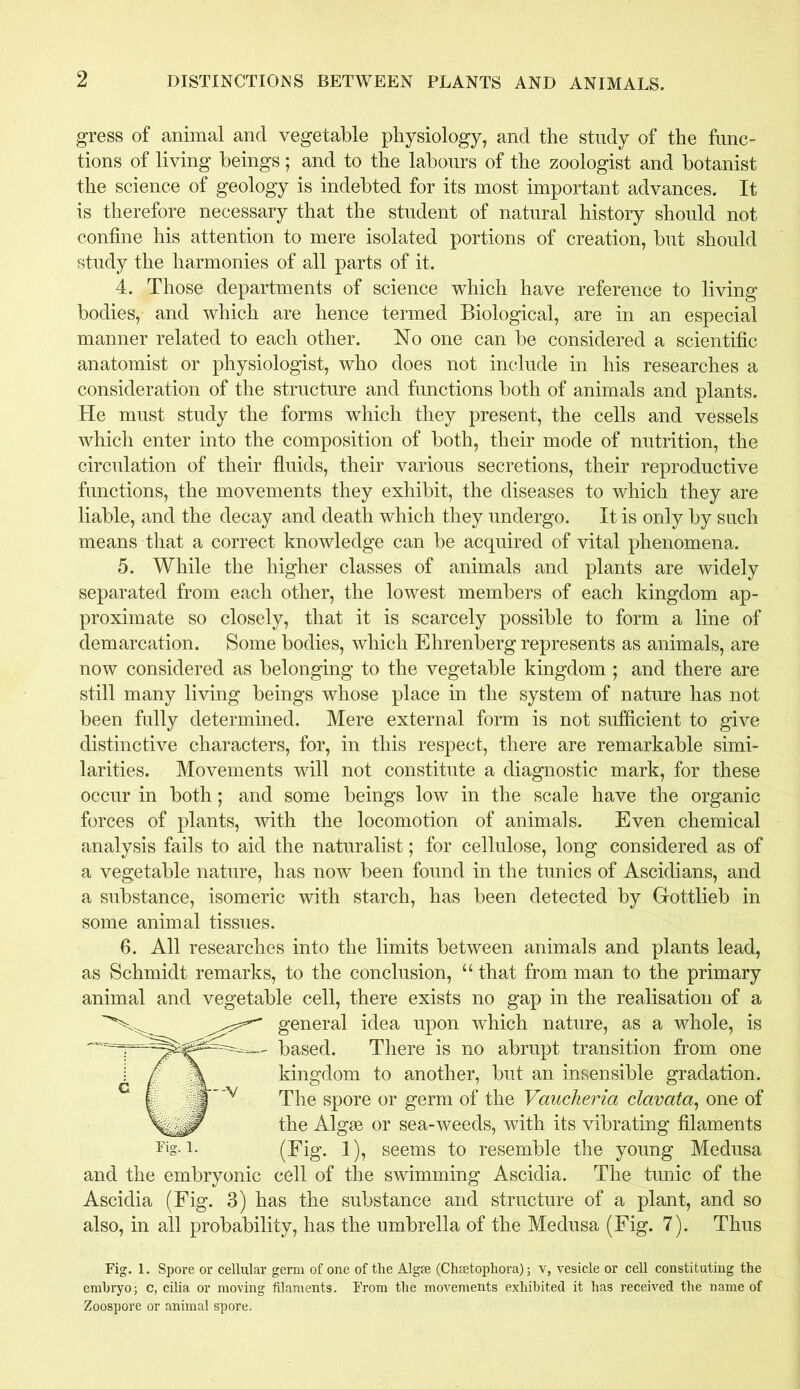 gress of animal and vegetable physiology, and the study of the func- tions of living beings; and to the labours of the zoologist and botanist the science of geology is indebted for its most important advances. It is therefore necessary that the student of natural history should not confine his attention to mere isolated portions of creation, but should study the harmonies of all parts of it. 4. Those departments of science which have reference to living bodies, and which are hence termed Biological, are in an especial manner related to each other. No one can be considered a scientific anatomist or physiologist, who does not include in his researches a consideration of the structure and functions both of animals and plants. He must study the forms which they present, the cells and vessels which enter into the composition of both, their mode of nutrition, the circulation of their fluids, their various secretions, their reproductive functions, the movements they exhibit, the diseases to which they are liable, and the decay and death which they undergo. It is only by such means that a correct knowledge can be acquired of vital phenomena. 5. While the higher classes of animals and plants are widely separated from each other, the lowest members of each kingdom ap- proximate so closely, that it is scarcely possible to form a line of demarcation. Some bodies, which Ehrenberg represents as animals, are now considered as belonging to the vegetable kingdom ; and there are still many living beings whose place in the system of nature has not been fully determined. Mere external form is not sufficient to give distinctive characters, for, in this respect, there are remarkable simi- larities. Movements will not constitute a diagnostic mark, for these occur in both; and some beings low in the scale have the organic forces of plants, with the locomotion of animals. Even chemical analysis fails to aid the naturalist; for cellulose, long considered as of a vegetable nature, has now been found in the tunics of Ascidians, and a substance, isomeric with starch, has been detected by Gottlieb in some animal tissues. 6. All researches into the limits between animals and plants lead, as Schmidt remarks, to the conclusion, u that from man to the primary animal and vegetable cell, there exists no gap in the realisation of a general idea upon which nature, as a whole, is based. There is no abrupt transition from one kingdom to another, but an insensible gradation. The spore or germ of the Vaucheria clavata, one of the Algse or sea-weeds, with its vibrating filaments (Eig. 1), seems to resemble the young Medusa and the embryonic cell of the swimming Ascidia. The tunic of the Ascidia (Fig. 3) has the substance and structure of a plant, and so also, in all probability, has the umbrella of the Medusa (Fig. 7). Thus Fig. 1. Fig. 1. Spore or cellular germ of one of the Algae (Chsetophora); v, vesicle or cell constituting the embryo; c, cilia or moving filaments. From the movements exhibited it has received the name of Zoospore or animal spore.