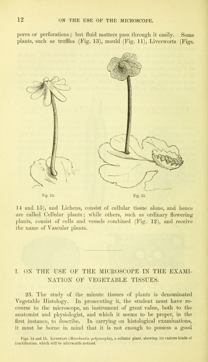 pores or perforations; but fluid matters pass through it easily. Some plants, such as truffles (Fig. 13), mould (Fig. 11), Liverworts (Figs. Fig. 15. 14 and 15), and Lichens, consist of cellular tissue alone, and hence are called Cellular plants; while others, such as ordinary flowering plants, consist of cells and vessels combined (Fig. 12), and receive the name of Vascular plants. I. ON THE USE OF THE MICROSCOPE IN THE EXAMI- NATION OF VEGETABLE TISSUES. 23. The study of the minute tissues of plants is denominated Vegetable Histology. In prosecuting it, the student must have re- course to the microscope, an instrument of great value, both to the anatomist and physiologist, and which it seems to be proper, in the first instance, to describe. In carrying on histological examinations, it must be borne in mind that it is not enough to possess a good Figs. 14 and 15. Liverwort (Marchantia polymorpha), a cellular plant, showing its various kinds of fructification, which will he afterwards noticed.