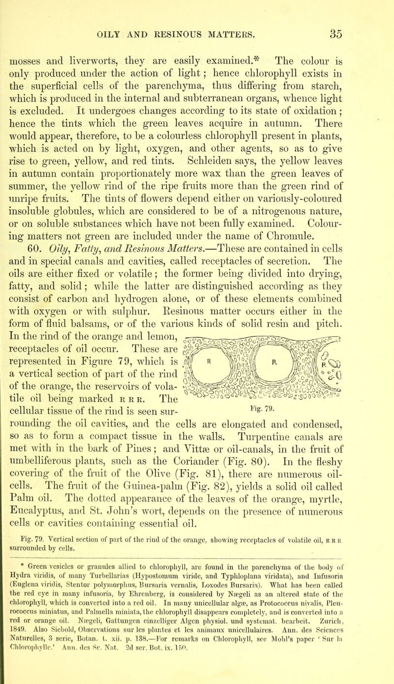 mosses and liverworts, they are easily examined.* The colour is only produced under the action of light; hence chlorophyll exists in the superficial cells of the parenchyma, thus differing from starch, which is produced in the internal and subterranean organs, whence light is excluded. It undergoes changes according to its state of oxidation ; hence the tints which the green leaves acquire in autumn. There would appear, therefore, to be a colourless chlorophyll present in plants, which is acted on by light, oxygen, and other agents, so as to give rise to green, yellow, and red tints. Schleiden says, the yellow leaves in autumn contain proportionately more wax than the green leaves of summer, the yellow rind of the ripe fruits more than the green rind of unripe fruits. The tints of flowers depend either on variously-coloured insoluble globules, which are considered to be of a nitrogenous nature, or on soluble substances which have not been fully examined. Colour- ing matters not green are included under the name of Chromule. 60. Oily, Fatty, and Resinous Matters.—These are contained in cells and in special canals and cavities, called receptacles of secretion. The oils are either fixed or volatile; the former being divided into drying, fatty, and solid; while the latter are distinguished according as they consist of carbon and hydrogen alone, or of these elements combined with oxygen or with sulphur. Besinous matter occurs either in the form of fluid balsams, or of the various kinds of solid resin and pitch. In the rind of the orange and lemon, receptacles of oil occur. These are represented in Figure 79, which is a vertical section of part of the rind of the orange, the reservoirs of vola- ! tile oil being marked ere. The I cellular tissue of the rind is seen sur- rounding the oil cavities, and the cells are elongated and condensed, so as to form a compact tissue in the walls. Turpentine canals are met with in the bark of Pines; and Vittse or oil-canals, in the fruit of umbelliferous plants, such as the Coriander (Fig. 80). In the fleshy covering of the fruit of the Olive (Fig. 81), there are numerous oil- cells. The fruit of the Guinea-palm (Fig. 82), yields a solid oil called Palm oil. The dotted appearance of the leaves of the orange, myrtle, Eucalyptus, and St. John’s wort, depends on the presence of numerous cells or cavities containing essential oil. Fig. 79. Vertical section of part of the rind of the orange, showing receptacles of volatile oil, kek surrounded by cells. * Green vesicles or granules allied to chlorophyll, are found in the parenchyma of the body of Hydra viridis, of many Turbellarias (Hypostomum viride, and Typhloplana viridata), and Infusoria (Euglena viridis, Stentor polymorphus, Bursaria vernalis, Loxodes Bursaria). What has been called the red eye in many infusoria, by Ehrenberg, is considered by Naegeli as an altered state of the chlorophyll, which is converted into a red oil. In many unicellular alga?, as Protococcus nivalis, Pleu- rococcus miniatus, and Palmella miniata, the chlorophyll disappears completely, and is converted into, a red or orange oil. Ncegeli, Gattungen einzelliger Algen physiol, und systemat. bearbeit. Zurich, 1849. Also Siebold, Observations sur les plantes et les animaux unicellulaires. Ann. des Sciences Naturelles, 3 serie, Botan. t. xii. p. 138.—For remarks on Chlorophyll, see Mold’s paper ‘ Sur la Chlorophylle.’ Ann. des Sc. Nat. 2d ser. Bot. ix. 150.