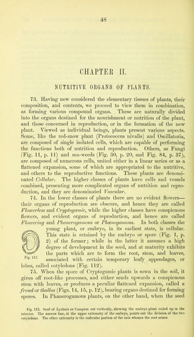 CHAPTER II. NUTRITIVE ORGANS OE PLANTS. 73. Having now considered the elementary tissues of plants, their composition, and contents, we proceed to view them in combination, as forming various compound organs. These are naturally divided into the organs destined for the nourishment or nutrition of the plant, and those concerned in reproduction, or in the formation of the new plant. Viewed as individual beings, plants present various aspects. Some, like the red-snow plant (Protococcus nivalis) and Oscillatoria, are composed of single isolated cells, which are capable of performing the functions both of nutrition and reproduction. Others, as Fungi (Fig. 11, p. 11) and sea-weeds (Fig. 30, p. 20, and Fig. 84, p. 37), are composed of numerous cells, united either in a linear series or as a flattened expansion, some of which are appropriated to the nutritive, and others to the reproductive functions. These plants are denomi- nated Cellular. The higher classes of plants have cells and vessels combined, presenting more complicated organs of nutrition and repro- duction, and they are denominated Vascular. 74. In the lower classes of plants there are no evident flowers— their organs of reproduction are obscure, and hence they are called Flowerless and Cryptogamic, while the higher classes have conspicuous flowers, and evident organs of reproduction, and hence are called Flowering and Phanerogamous or Phcenogarnous. In both classes the young plant, or embryo, in its earliest state, is cellular. This state is retained by the embryo or spore (Fig. 1, p. 2) of the former; while in the latter it assumes a high degree of development in the seed, and at maturity exhibits the parts which are to form the root, stem, and leaves, I'lg‘113' associated with certain temporary leafy appendages, or lobes, called cotyledons (Fig. 112). 75. When the spore of Cryptogamic plants is sown in the soil, it gives off root-like processes, and either sends upwards a conspicuous stem with leaves, or produces a peculiar flattened expansion, called a frond or thallus (Figs. 14, 15, p. 12), bearing organs destined for forming spores. In Phanerogamous plants, on the other hand, when the seed Fig. 112. Seed of Lychnis or Campion cut vertically, shewing the embryo plant coiled up in the interior. The narrow line, at the upper extremity of the embryo, points out the division of the two cotyledons. The other extremity is the radicular portion of the axis whence the root arises.