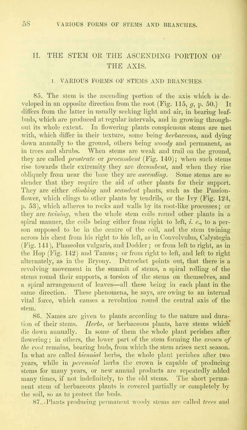 II. THE STEM OB THE ASCENDING POETION OF THE AXIS. 1. VARIOUS FORMS OF STEMS AND BRANCHES. 85. The stem is the ascending portion of the axis which is de- veloped in an opposite direction from the root (Fig. 115, <7, p. 50.) It differs from the latter in usually seeking light and air, in bearing leaf- buds, which are produced at regular intervals, and in growing through- out its whole extent. In flowering plants conspicuous stems are met with, which differ in their texture, some being herbaceous, and dying down annually to the ground, others being woody and permanent, as in trees and shrubs. When stems are weak and trail on the ground, they are called prostrate or procumbent (Fig. 140); when such stems rise towards their extremity they are decumbent, and when they rise obliquely from near the base they are ascending. Some stems are so slender that they require the aid of other plants for their support. They are either climbing and scandent plants, such as the Passion- flower, which clings to other plants by tendrils, or the Ivy (Fig. 124, p. 53), wrhich adheres to rocks and walls by its root-like processes; or they are twining, when the whole stem coils round other plants in a spiral manner, the coils being either from right to left, i. e., to a per- son supposed to be in the centre of the coil, and the stem twining across his chest from his right to his left, as in Convolvulus, Calystegia (Fig. 141), Phaseolus vulgaris, and Dodder ; or from left to right, as in the Hop (Fig. 142) and Tamus ; or from right to left, and left to right alternately, as in the Bryony. Dutrochet points out, that there is a revolving movement in the summit of stems, a spiral rolling of the stems round their supports, a torsion of the stems on themselves, and a spiral arrangement of leaves—all these being in each plant in the same direction. These phenomena, he says, are owing to an internal vital force, which causes a revolution round the central axis of the stem. 86. Names are given to plants according to the nature and dura- tion of their stems. Herbs, or herbaceous plants, have stems which' die down annually. In some of them the whole plant perishes after flowering; in others, the lower part of the stem forming the crown of the root remains, bearing buds, from which the stem arises next season. In what are called biennial herbs, the whole plant perishes after two years, while in perennial herbs the crown is capable of producing stems for many years, or new annual products are repeatedly added many times, if not indefinitely, to the old stems. The short perma- nent stem of herbaceous plants is covered partially or completely by the soil, so as to protect the buds. 8 7..-PI ants producing permanent woody stems are called trees and