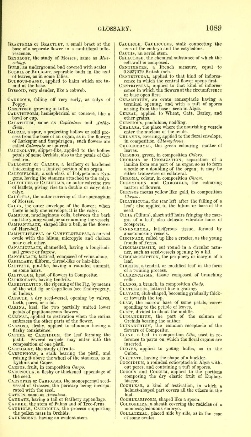 Bracteole or Bractlet, a small bract at the base of a separate flower in a multifloral inflo- rescence. Bryology, the study of Mosses; same as Mus- cology. Bulb, an underground bud covered with scales Bulbil or Bulb let, separable buds in the axil of leaves, as in some Lilies. Bulbous-based, applied to hairs which are tu- mid at the base. Byssoid, very slender, like a cobweb. Caducous, falling off very early, as calyx of Poppy. CjESPItose, growing in tufts. Calathiform, hemispherical or concave, like a bowl or cup. Calathium, same as Capitulum and Antho- dium. Calcar, a spur, a projecting hollow or solid pro- cess from the base of an organ, as in the flowers of Larkspur and Snapdragon; such flowers are called Calcarate or spurred. Calceolate, slipper-like, applied to the hollow petals of some Orchids, also to the petals of Cal- ceolaria. Callosity or Callus, a leathery or hardened thickening on a limited portion of an organ. Calycielor/E, a sub-class of Polypetalous Exo- gens, having the stamens attached to the calyx. Calyculus or Caliculus, an outer calycine row of leaflets, giving rise to a double or calyculate calyx. Calyptra, the outer covering of the sporangium of Mosses. Calyx, the outer envelope of the flower; when there is only one envelope, it is the calyx. Cambium, mucilaginous cells, between the bark and the young wood, or surrounding the vessels. Campanulate, shaped like a bell, as the flower of Hare-bell. Campulitropal or Campylotropal, a curved ovule with the hilum, micropyle and chalaza near each other. Canaliculate, channelled, having a longitudi- nal groove or furrow. Cancellate, latticed, composed of veins alone. Capillary, filiform, thread-like or hair-like. Capitate, pin-like, having a rounded summit, as some hairs. Capitulum, head of flowers in Composite. Capreolate, having tendrils. Capripic ation, the ripening of the Fig, by means of the wild fig or Caprificus (see Embryogeny, in Index). Capsule, a dry seed-vessel, opening by valves, teeth, pores, or a lid. Carina, keel, the ,two partially united lower petals of papilionaceous flowers. Carinal, applied to aestivation when the carina embraces the other parts of the flower. Carnose, fleshy, applied to albumen having a fleshy consistence. Carpel or Carpidium, the leaf forming the pistil. Several carpels may enter into the composition of one pistil. Carpology, the study of fruits. Carpophore, a stalk bearing the pistil, and raising it above the whorl of the stamens, as in Lychnis and Caper. Carpos, fruit, in composition Carpo. Caruncula, a fleshy or thickened appendage of the seed. Caryopsis or Cariopsis, the monospermal seed- vessel of Grasses, the pericarp being incorpo- rated with the seed. Catkin, same as Amentum. Caudate, having a tail or feathery appendage. Caudex, the stem of Palms and of Tree-ferns. Caudicle, Caudicula, the process supporting the pollen mass in Orchids. Caulescent, having an evident stem. Caulicle, Cauliculus, stalk connecting the axis of the embryo and the cotyledons. Caulis, an aerial stem. Cellulose, the chemical substance of which the cell-wall is composed. Centimetre, a French measure, equal to 0.3937079 British inch. Centrifugal, applied to that kind of inflores- cence in which the central flower opens first. Centripetal, applied to that kind of inflores- cence in which the flowers at the circumference or base open first. Ceramidium, an ovate conceptacle having a terminal opening, and with a tuft of spores arising from the base; seen in Algae. Cereal, applied to Wheat, Oats, Barley, and other grains. Cernuous, pendulous, nodding. Chalaza, the place where the nourishing vessels enter the nucleus of the ovule. Chlamys, covering, applied to the floral envelope, in composition Chlamydeous. Chlorophyll, the green colouring matter of leaves. Chloros, green, in composition Chloro. Chorisis or Chorization, separation of a lamina from one part of an organ so as to form a scale or a doubling of the organ; it may be either transverse or collateral. Chroma, colour, in composition Chrom. Chromogen and Chromule, the colouring matter of flowers. Chrysos means yellow like gold, in composition Chryso. Cicatricula, the scar left after the falling of a leaf; also applied to the hilum or base of the seed. Cilia (Cilium), short stiff hairs fringing the mar- gin of a leaf; also delicate vibratile hairs of zoospores. Cinenchyma, latieiferous tissue, formed by anastomosing vessels. Circinate, rolled up like a crozier, as the young fronds of Ferns. Circumscissile, cut round in a circular man- ner, such as seed-vessels opening by a lid. Circumscription, the periphery or margin of a leaf. Cirrhus, a tendril, or modified leaf in the form of a twining process. Cladenchyma, tissue composed of branching cells. Clados, a branch, in composition Clado. Clathratus, latticed like a grating. Clavate, club-shaped, becoming gradually thick- er towards the top. Claw, the narrow base of some petals, corre- sponding to the petiole of leaves. Cleft, divided to about the middle. Clinandrium, the part of the column of Orchids bearing the anther. Clinanthium, the common receptacle of the flowers of Compositse. Cline, a bed, in composition Clin, used in re- ference to parts on which the floral organs are inserted. Cloves, applied to young bulbs, as in the Onion. Clypeate, having the shape of a buckler. Coccidium, a rounded conceptacle in Algae with- out pores, and containing a tuft of spores. Coccus and Coccum, applied to the portions composing the dry elastic fruit of Euphor- biaceae. Cochlear, a kind of aestivation, in which a helmet-shaped part covers all the others in the bud. Cochleariform, shaped like a spoon. Coleorhiza, a sheath covering the radicles of a monocotyledonous embryo. Collateral, placed side by side, as m the case of some ovules.