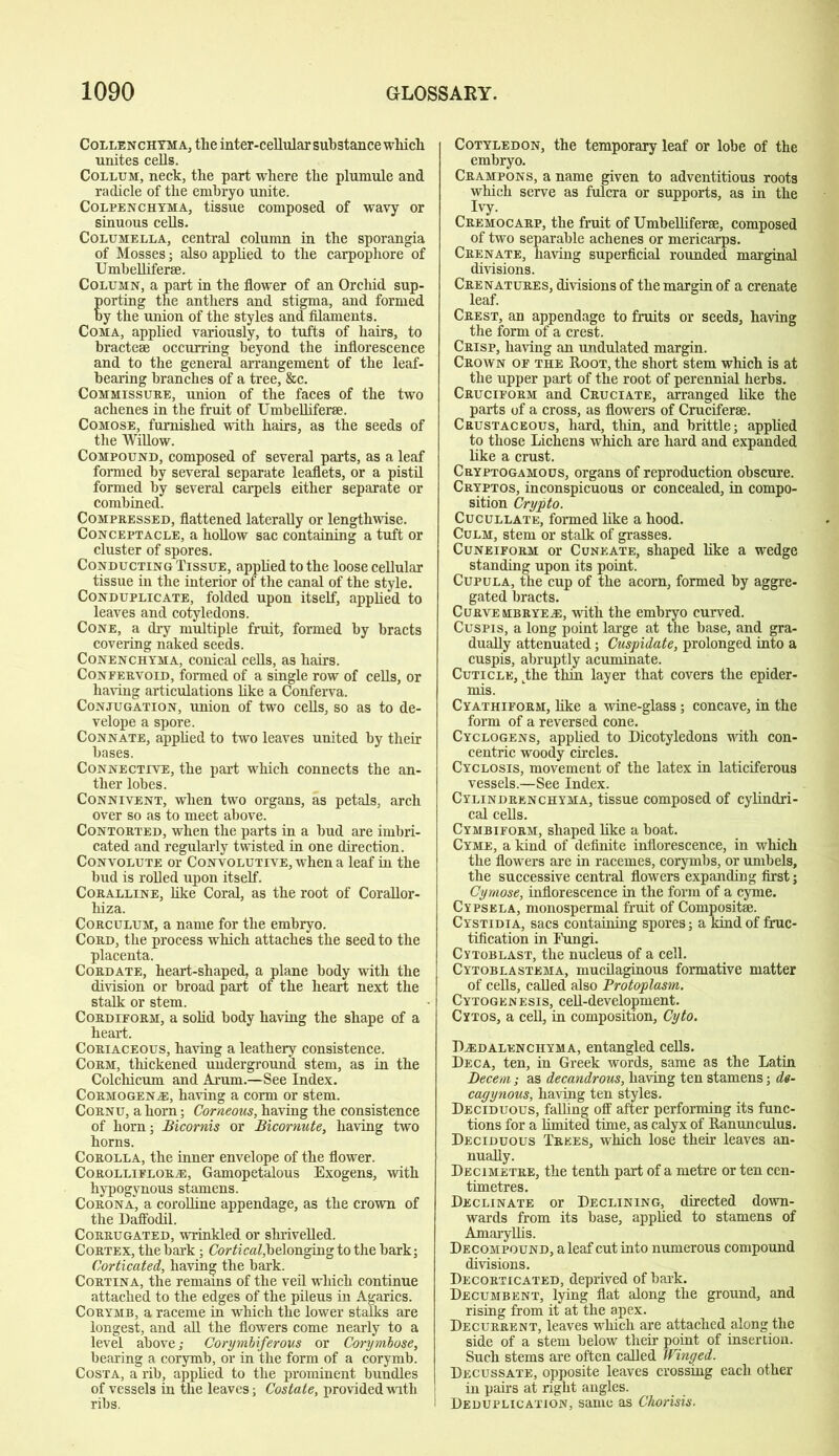Collenchyma, the inter-cellular substance which unites cells. Collum, neck, the part where the plumule and radicle of the embryo unite. Colpenchyha, tissue composed of wavy or sinuous cells. Columella, central column in the sporangia of Mosses; also applied to the carpophore of Umbelliferse. Column, a part in the flower of an Orchid sup- orting the anthers and stigma, and formed y the union of the styles and filaments. Coma, applied variously, to tufts of hairs, to bractese occurring beyond the inflorescence and to the general arrangement of the leaf- bearing branches of a tree, &c. Commissuee, union of the faces of the two achenes in the fruit of Umbelliferae. Comose, furnished with hairs, as the seeds of the Willow. Compound, composed of several parts, as a leaf formed by several separate leaflets, or a pistil formed by several carpels either separate or combined. Compressed, flattened laterally or lengthwise. Conceptacle, a hollow sac containing a tuft or cluster of spores. Conducting Tissue, applied to the loose cellular tissue in the interior of the canal of the style. Conduplicate, folded upon itself, applied to leaves and cotyledons. Cone, a dry multiple fruit, formed by bracts covering naked seeds. Conenchyma, conical cells, as hairs. Confeevoid, formed of a single row of cells, or having articulations like a Conferva. Conjugation, union of two cells, so as to de- velope a spore. Connate, applied to two leaves united by their bases. Connective, the part which connects the an- ther lobes. Connivent, when two organs, as petals, arch over so as to meet above. Contorted, when the parts in a bud are imbri- cated and regularly twisted in one direction. Convolute or Convolutive, when a leaf in the bud is rolled upon itself. Coralline, like Coral, as the root of Corallor- hiza. Corculum, a name for the embryo. Cord, the process which attaches the seed to the placenta. Cordate, heart-shaped, a plane body with the division or broad part of the heart next the stalk or stem. Cordieorm, a solid body having the shape of a heart. Coriaceous, having a leathery consistence. Corm, thickened underground stem, as in the Colchicum and Arum.—See Index. Cormogenas, having a corm or stem. Cornu, a horn; Corneous, having the consistence of horn; Bicornis or Bicornute, having two horns. Corolla, the inner envelope of the flower. Corollifloras, Gamopetalous Exogens, with hypogynous stamens. Corona, a corolline appendage, as the crown of the Daffodil. Corrugated, wrinkled or shrivelled. Cortex, the bark; Cortical,belonging to the bark; Corticated, having the bark. Cortina, the remains of the veil which continue attached to the edges of the pileus in Agarics. Corymb, a raceme in which the lower stalks are longest, and all the flowers come nearly to a level above; CorymUferous or Corymbose, bearing a corymb, or in the form of a corymb. Costa, a rib, applied to the prominent bundles of vessels in the leaves; Costale, provided with ribs. Cotyledon, the temporary leaf or lobe of the embryo. Crampons, a name given to adventitious roots which serve as fulcra or supports, as in the Ivy. Cremocarp, the fruit of Umbelliferee, composed of two separable achenes or mericarps. Crenate, having superficial rounded marginal divisions. Crenatures, divisions of the margin of a crenate Crest, an appendage to fruits or seeds, having the form of a crest. Crisp, having an undulated margin. Crown of the Hoot, the short stem which is at the upper part of the root of perennial herbs. Cruciform and Cruciate, arranged like the parts of a cross, as flowers of Cruciferse. Crustaceous, hard, thin, and brittle; applied to those Lichens which are hard and expanded like a crust. Cryptogamous, organs of reproduction obscure. Cryptos, inconspicuous or concealed, in compo- sition Crypto. Cucullate, formed like a hood. Culm, stem or stalk of grasses. Cuneiform or Cunkate, shaped like a wedge standing upon its point. Cupula, the cup of the acorn, formed by aggre- gated bracts. Curve mb rye as, with the embryo curved. Cuspis, a long point large at the base, and gra- dually attenuated; Cuspidate, prolonged into a cuspis, abruptly acuminate. Cuticle, tthe thin layer that covers the epider- mis. Cyathiform, like a wine-glass; concave, in the form of a reversed cone. Cyclogens, applied to Dicotyledons with con- centric woody circles. Cyclosis, movement of the latex in laticiferous vessels.—See Index. Cylindrknchyma, tissue composed of cylindri- cal cells. Cymbiform, shaped like a boat. Cyme, a kind of definite inflorescence, in which the flowers are in racemes, corymbs, or umbels, the successive central flowers expanding first; Cyrnose, inflorescence in the form of a cyme. Cypsela, monospermal fruit of Composite Cystidia, sacs containing spores; a kind of fruc- tification in Fungi. Cytoblast, the nucleus of a cell. Cytoblastema, mucilaginous formative matter of cells, called also Protoplasm. Cytogenesis, cell-development. Cytos, a cell, in composition, Cyto. Djedalenchyma, entangled cells. Deca, ten, in Greek words, same as the Latin Decern; as decandrous, having ten stamens; de- cay y nous, having ten styles. Deciduous, falling off after performing its func- tions for a limited time, as calyx of Ranunculus. Deciduous Trees, which lose their leaves an- nually. Decimetre, the tenth part of a metre or ten cen- timetres. Declinate or Declining, directed down- wards from its base, applied to stamens of Amaryllis. Decompound, a leaf cut into numerous compound divisions. Decorticated, deprived of bark. Decumbent, lying flat along the ground, and rising from it at the apex. Decurrent, leaves which are attached along the side of a stem below their point of insertion. Such stems are often called Winged. Decussate, opposite leaves crossing each other in pairs at right angles. Deduplication, same as Chorisis.